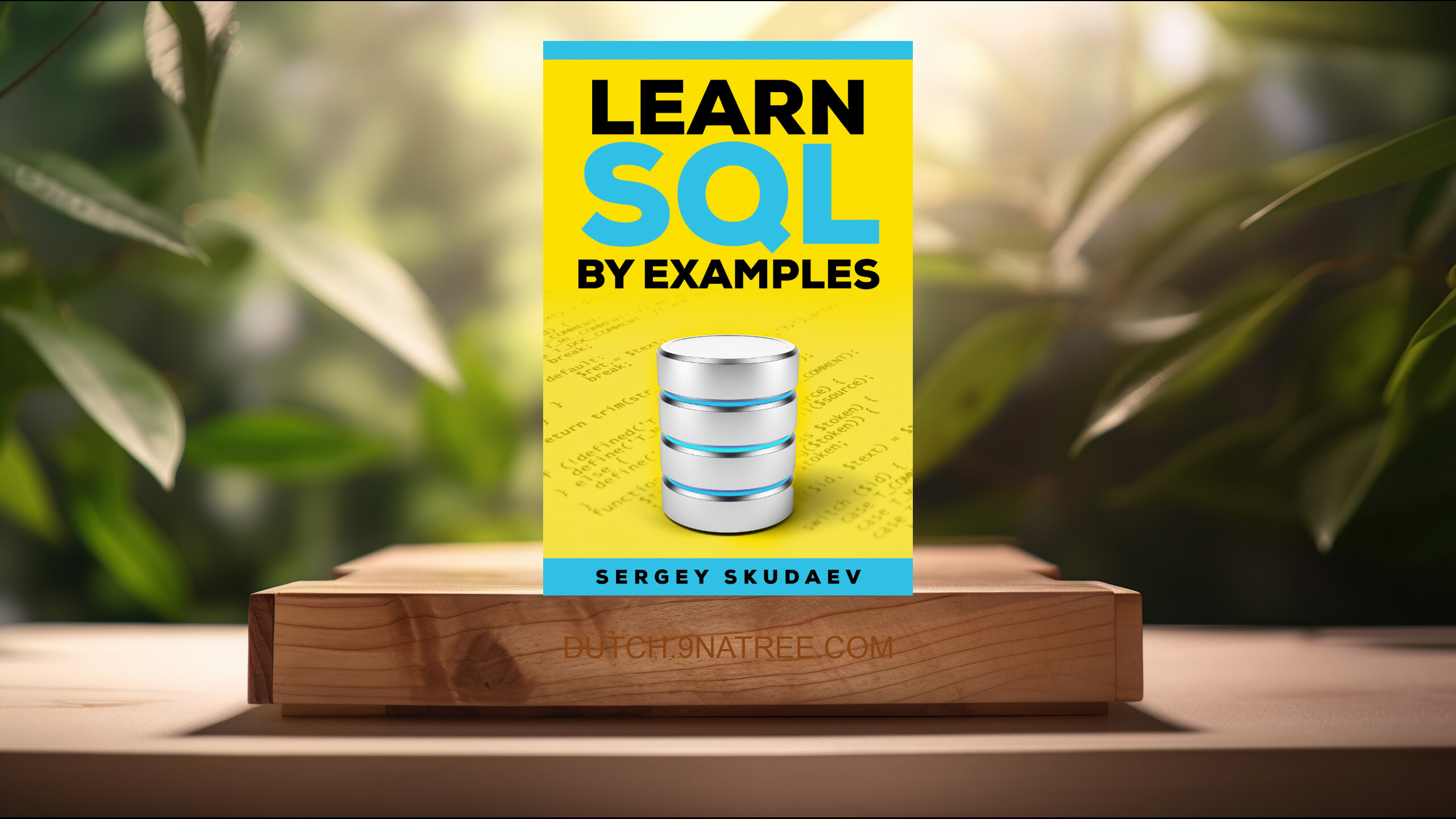 [Boekrecensie] Learn SQL By Examples (Sergey Skudaev) Boeksamenvatting.