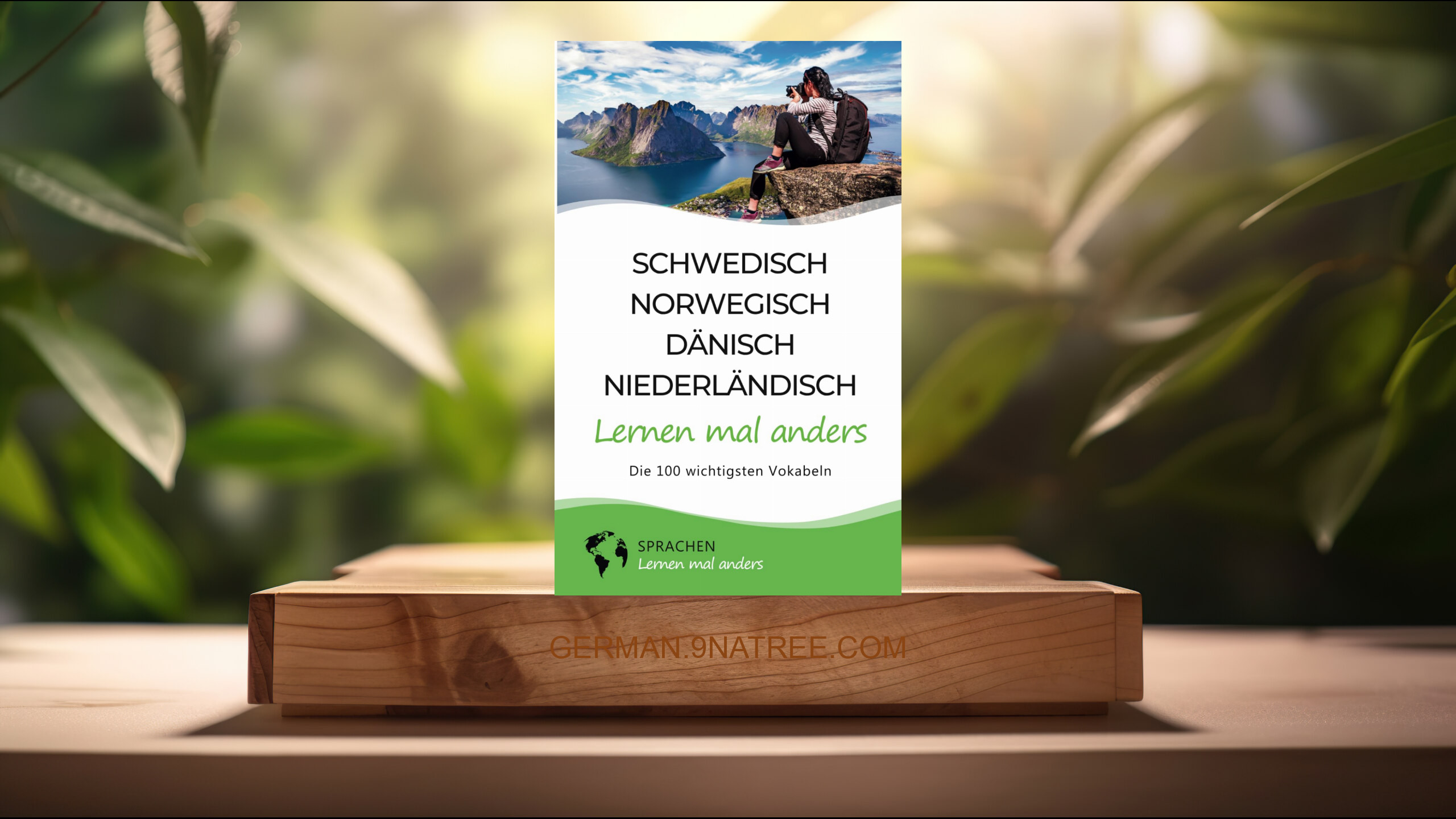 [Rezensiert] Schwedisch, Norwegisch, Dänisch, Niederländisch lernen mal anders - Die 100 wichtigsten Vokabeln (Sprachen lernen mal anders) Zusammengefasst.