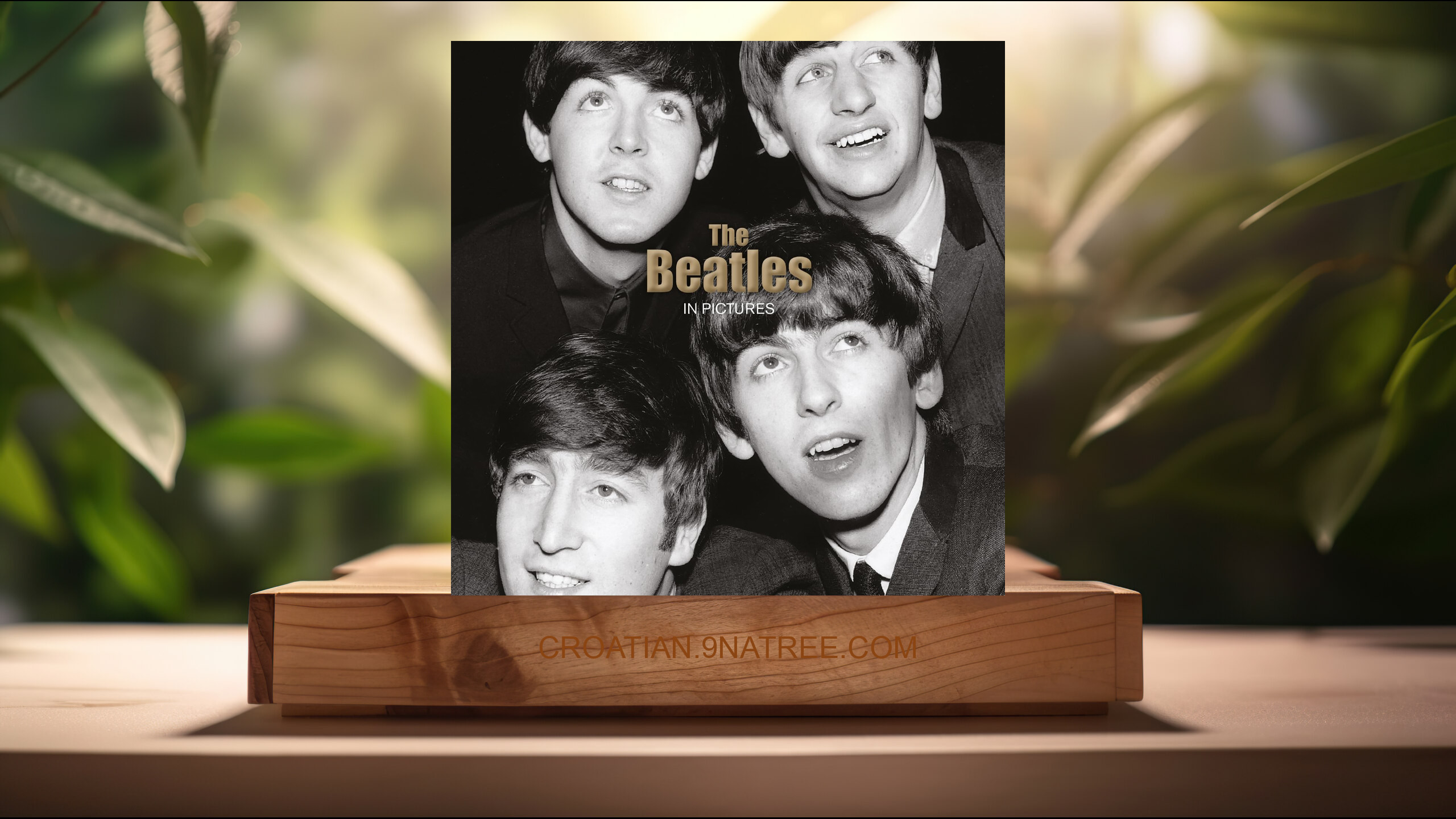 [Recenzija] The Beatles: In Pictures (Mirrorpix) Sažeto. episode artwork