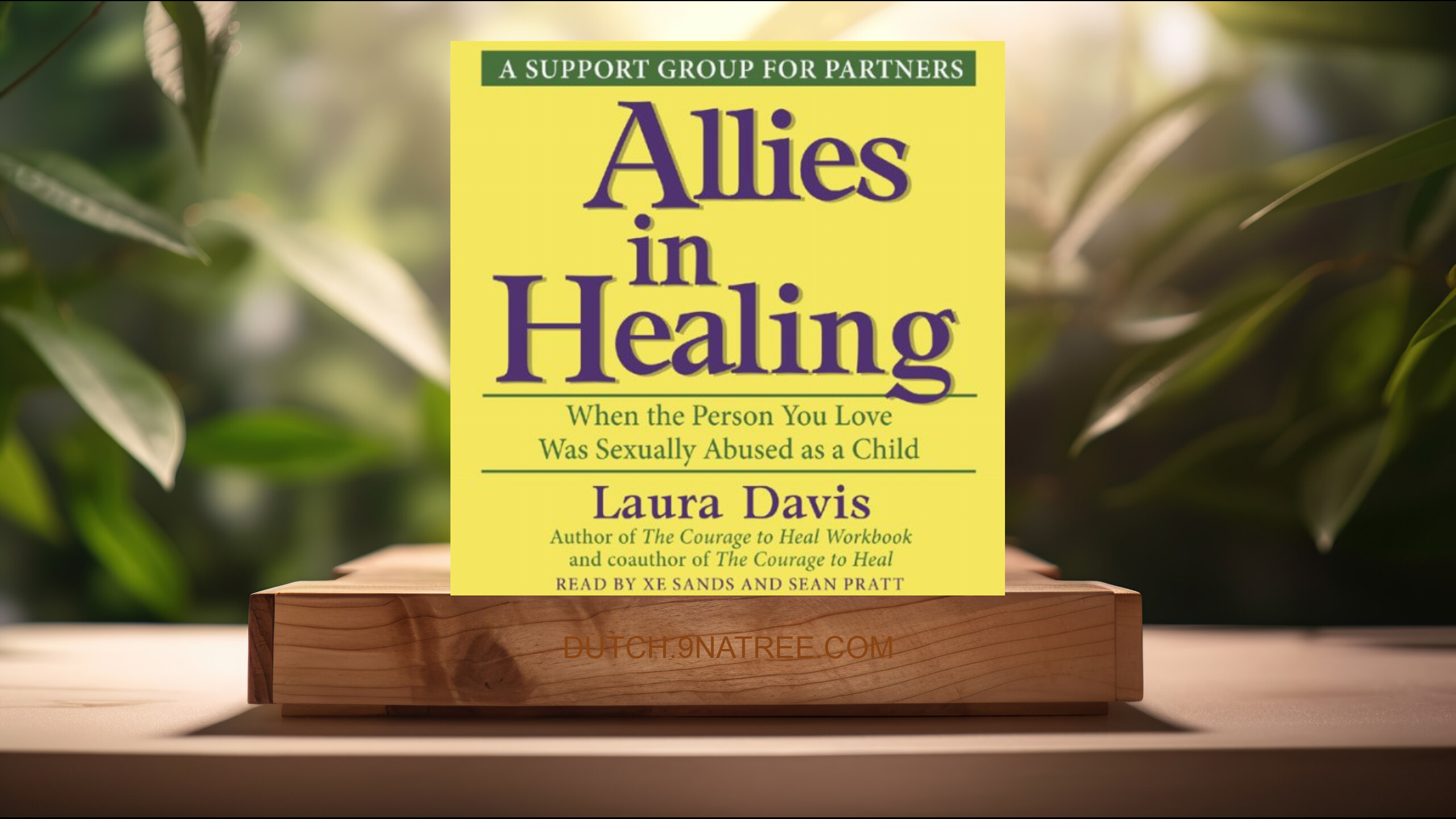 [Boekrecensie] Allies in Healing (Laura Davis) Boeksamenvatting.