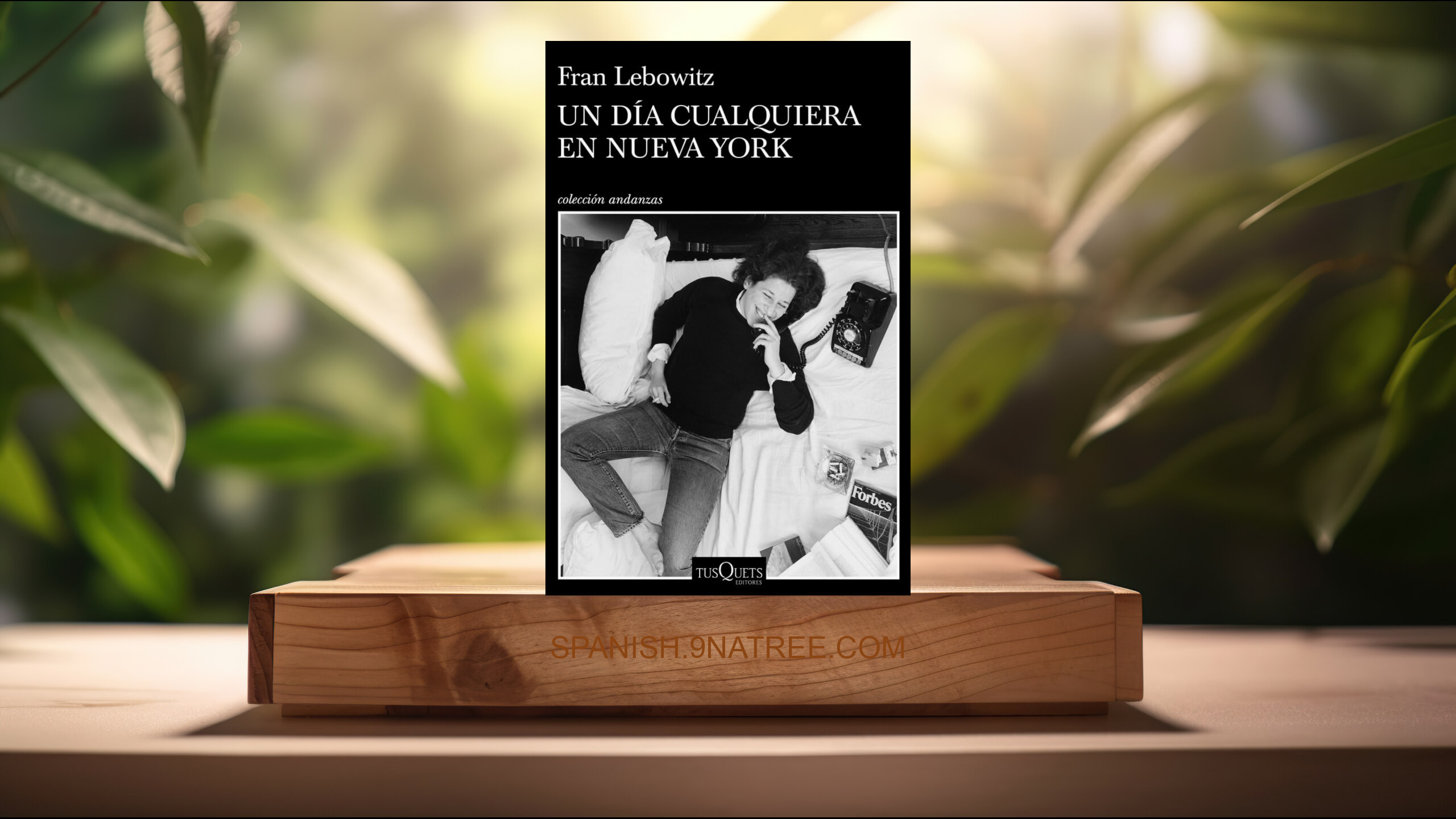 [Reseña] Un día cualquiera en Nueva York  (Fran Lebowitz) Resumida.