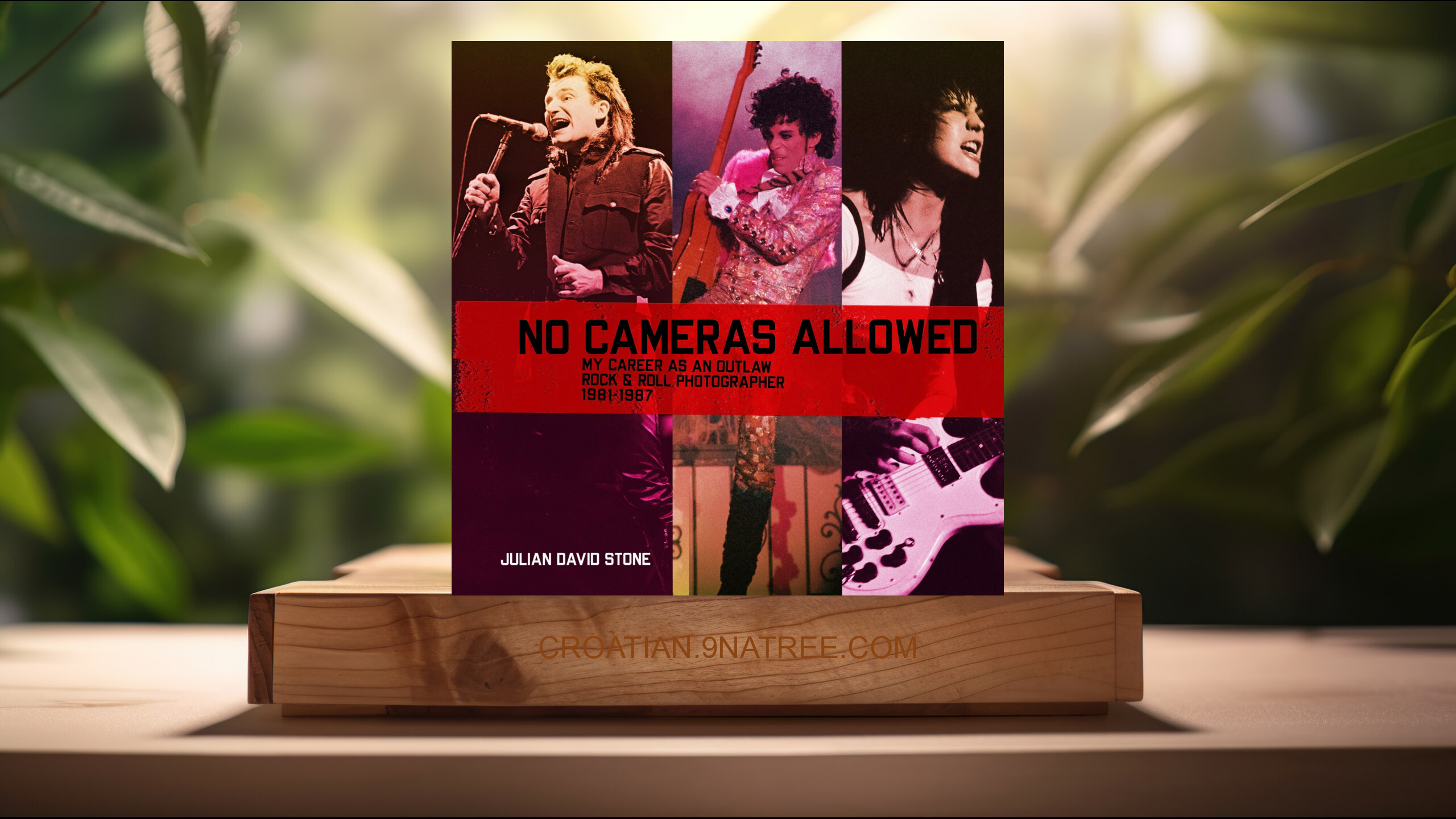 [Recenzija] No Cameras Allowed: My Career as an Outlaw Rock and Roll Photographer (Julian David Stone) Sažeto. episode artwork