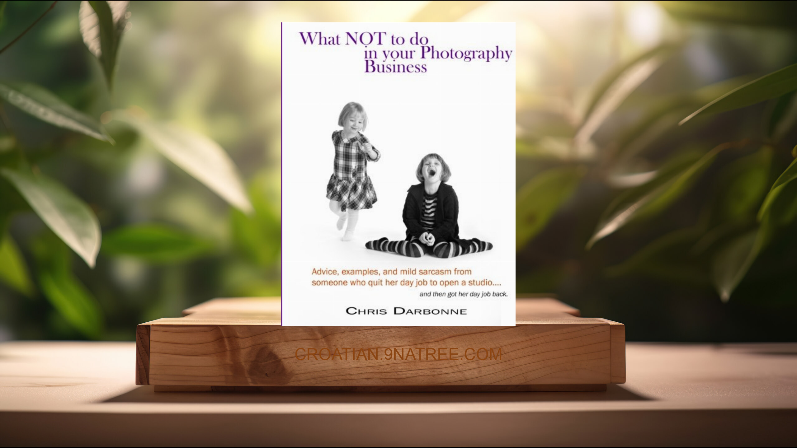 [Recenzija] What Not to Do in Your Photography Business (Chris Darbonne) Sažeto. episode artwork