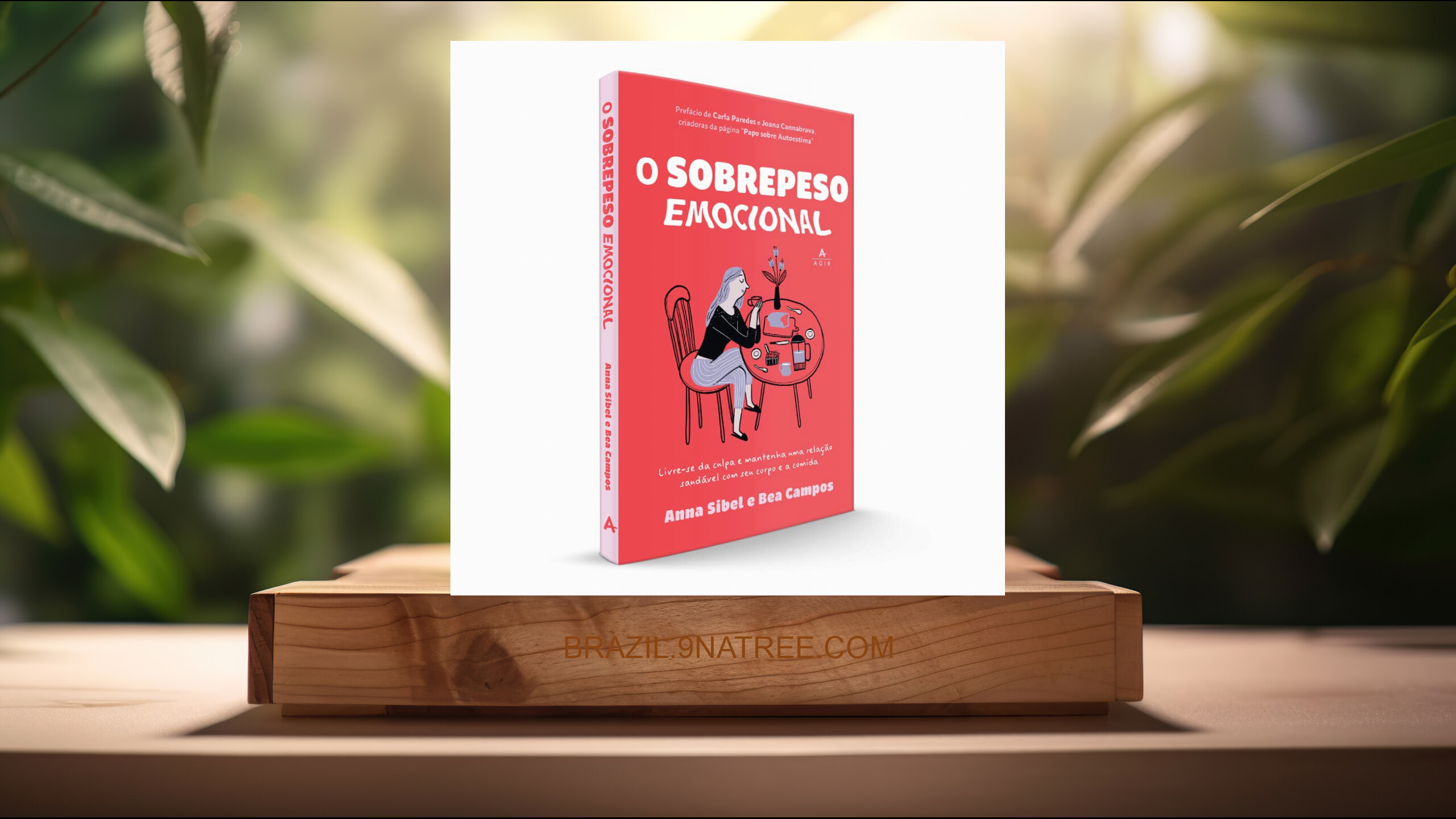 [Análises] O sobrepeso emocional (Anna Sibel) Resumidos.