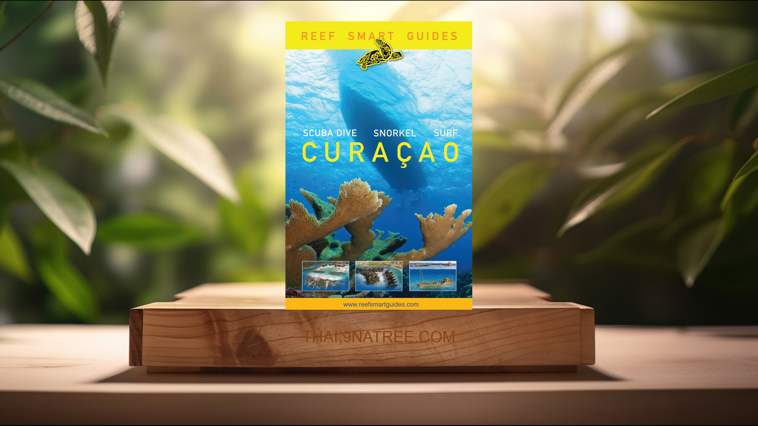 [รีวิว] Reef Smart Guides Curaçao:  (Peter McDougall) สรุปหนังสือ.
