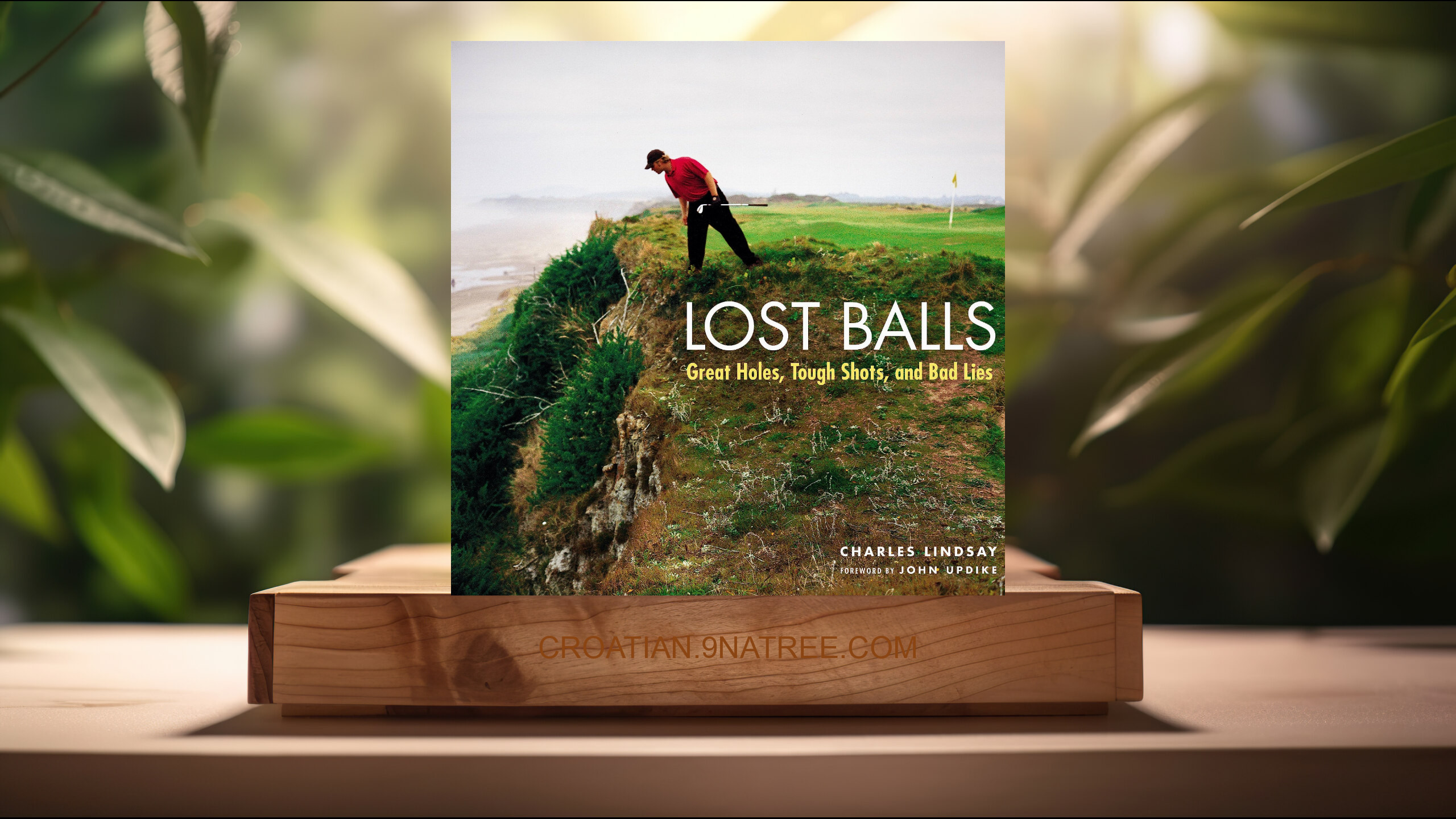 [Recenzija] Lost Balls: Great Holes, Tough Shots, and Bad Lies (Charles Lindsay) Sažeto. episode artwork
