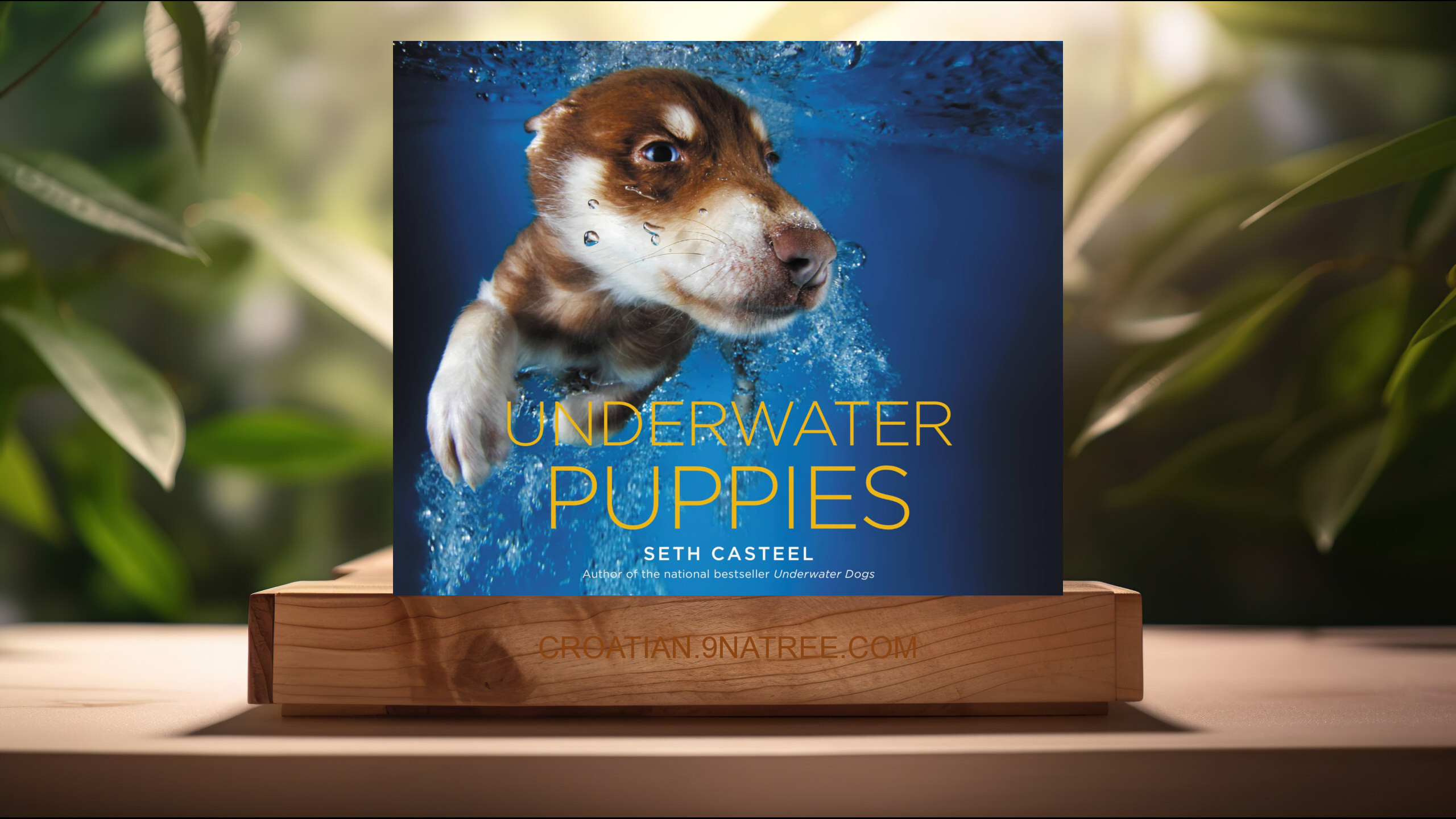 [Recenzija] Underwater Puppies (Seth Casteel) Sažeto. episode artwork