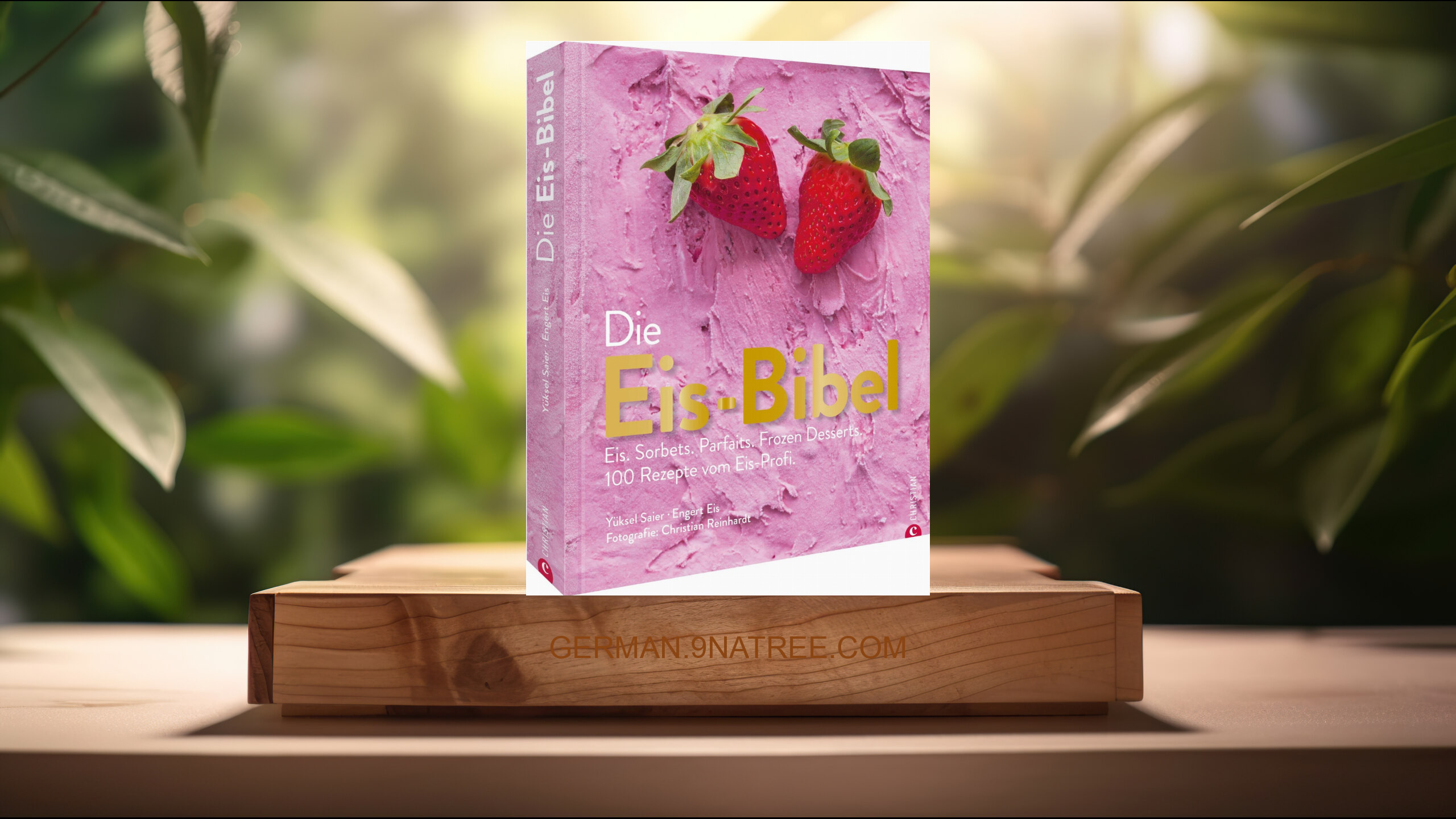 [Rezensiert] Die Eis Bibel. Eis, Sorbets, Parfaits, Frozen Desserts. 100 kreative Eis-Rezepte für die Eismaschine (Yüksel Saier) Zusammengefasst.
