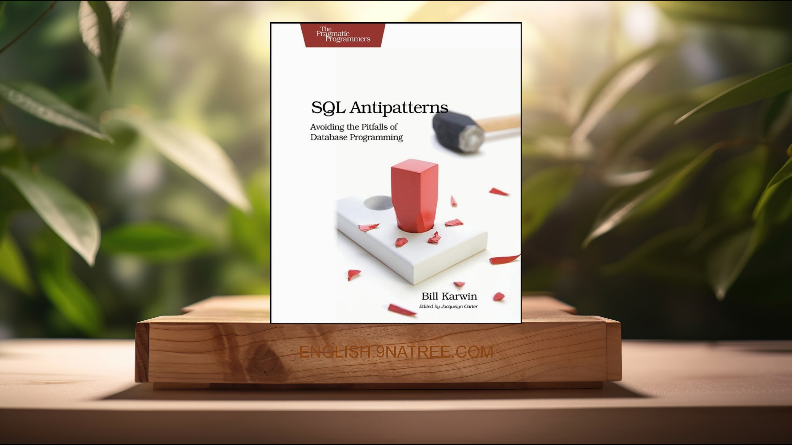 [Review] SQL Antipatterns: Avoiding the Pitfalls of Database Programming  (Bill Karwin) Summarized.