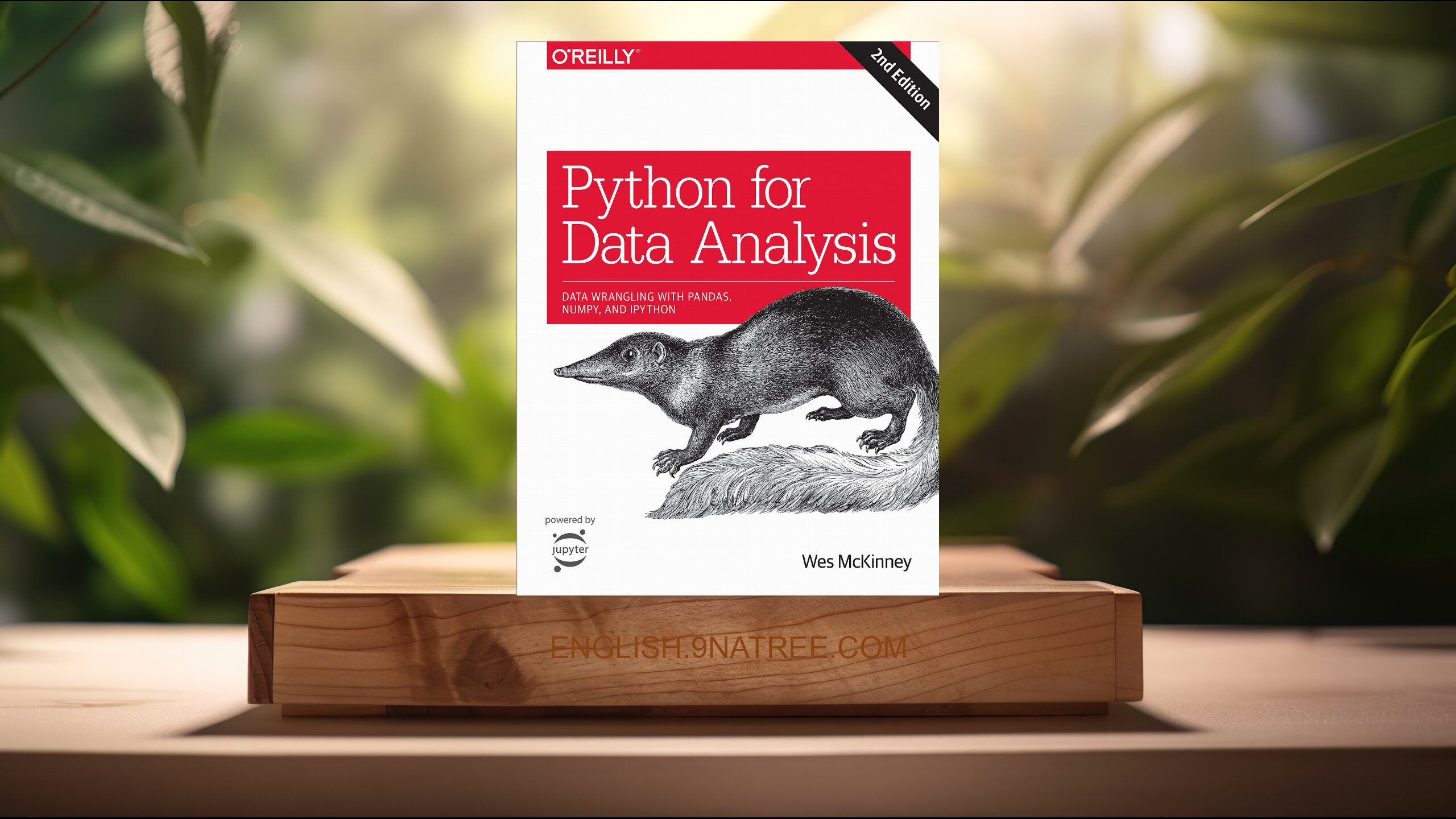 [Review] Python for Data Analysis (Wes McKinney) Summarized.