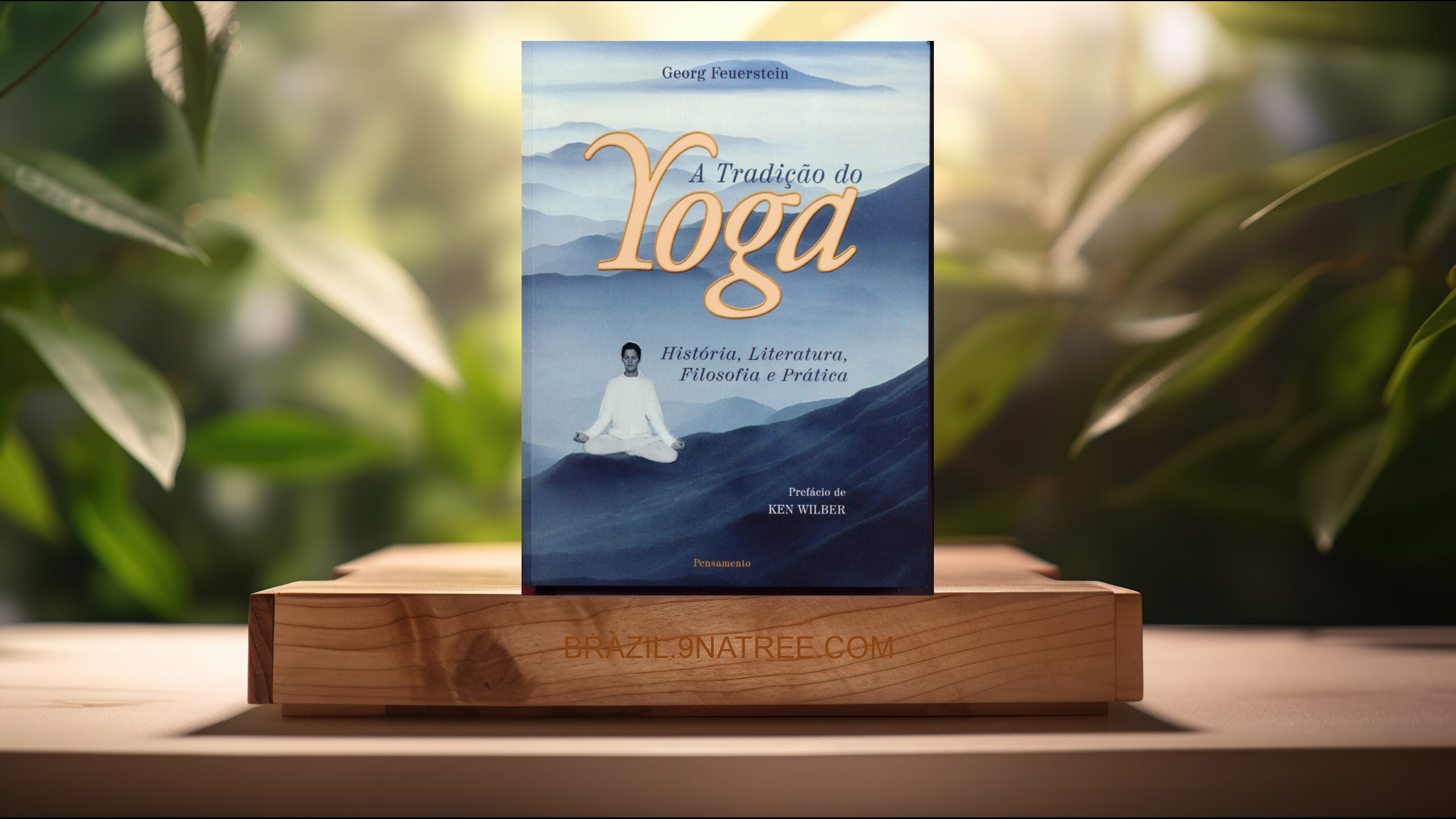 [Análises] A tradição do yoga: história, literatura, filosofia e prática (Georg Feuerstein) Resumidos.