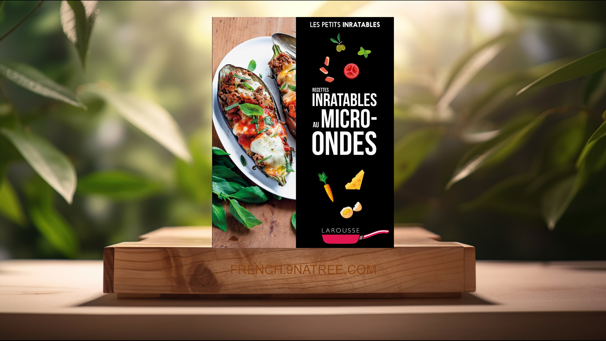 [Critique] Recettes inratables au micro-ondes (Collectif) Résumé.