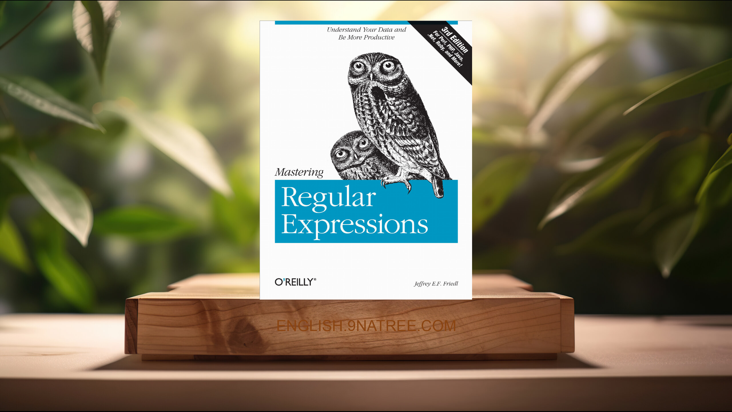 [Review] Mastering Regular Expressions (Jeffrey E. F. Friedl) Summarized.