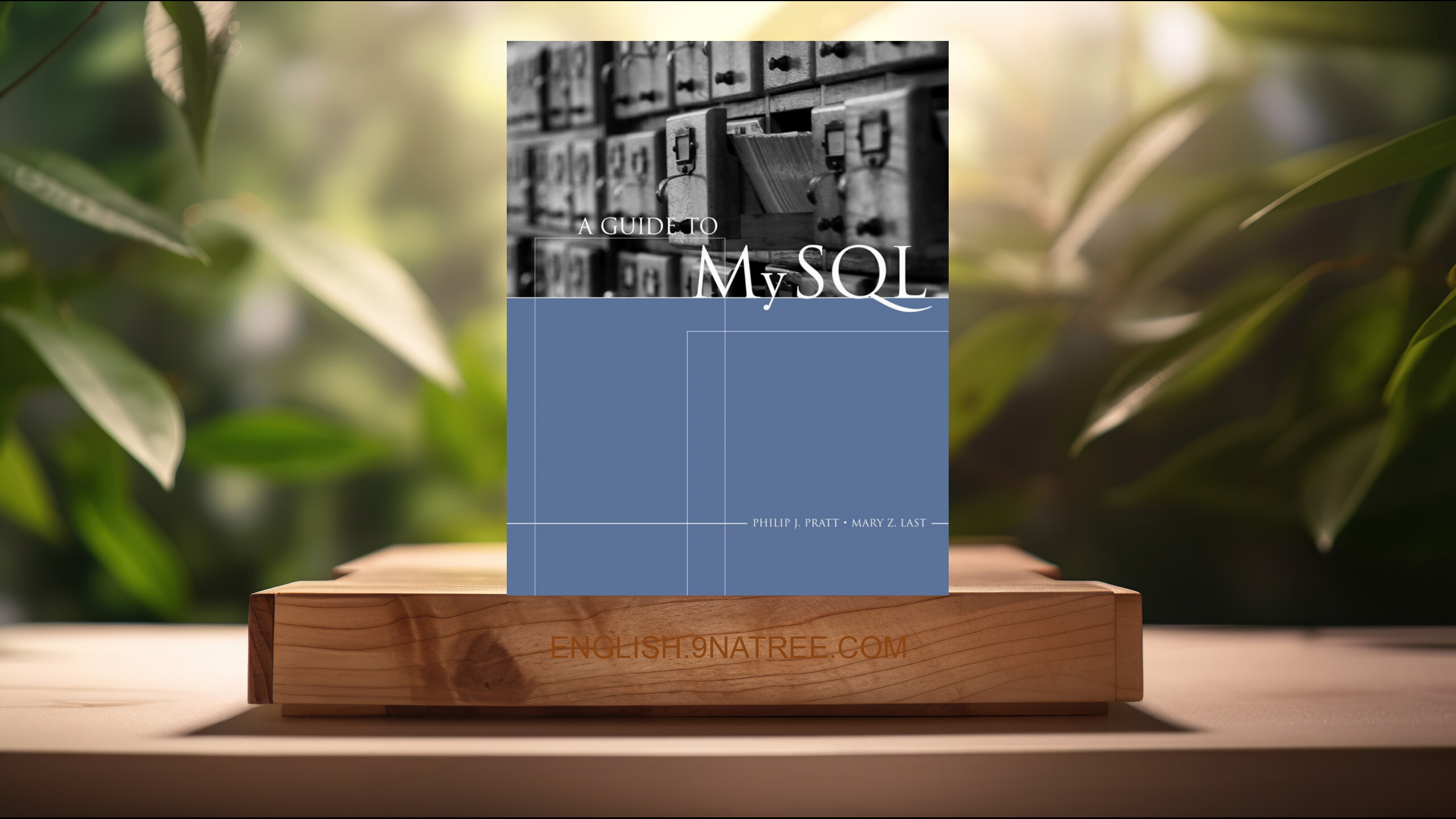 [Review] A Guide To MySQL (Philip J. Pratt) Summarized.