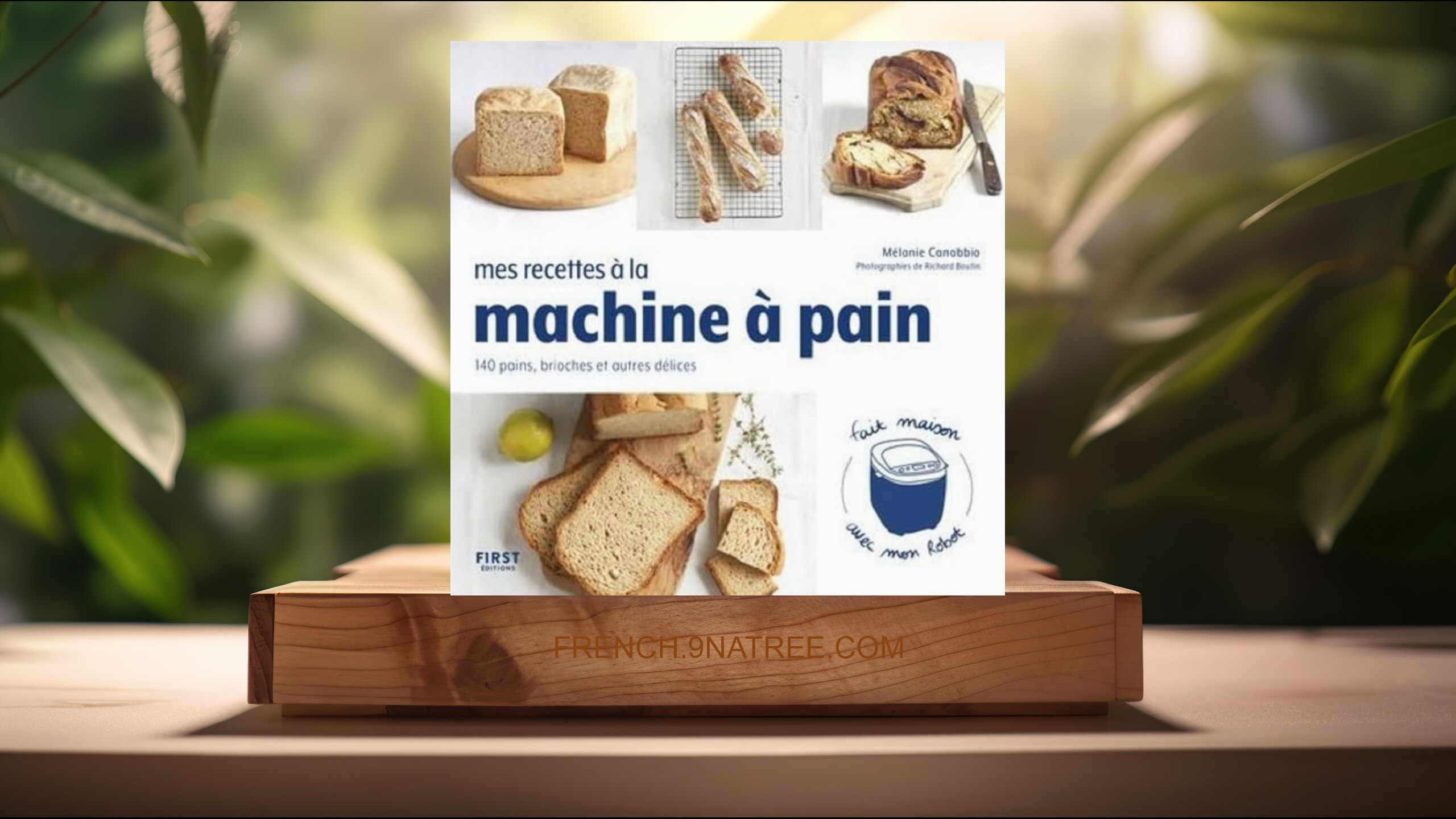 [Critique] Mes recettes à la machine à pain (Mélanie Canobbio) Résumé.