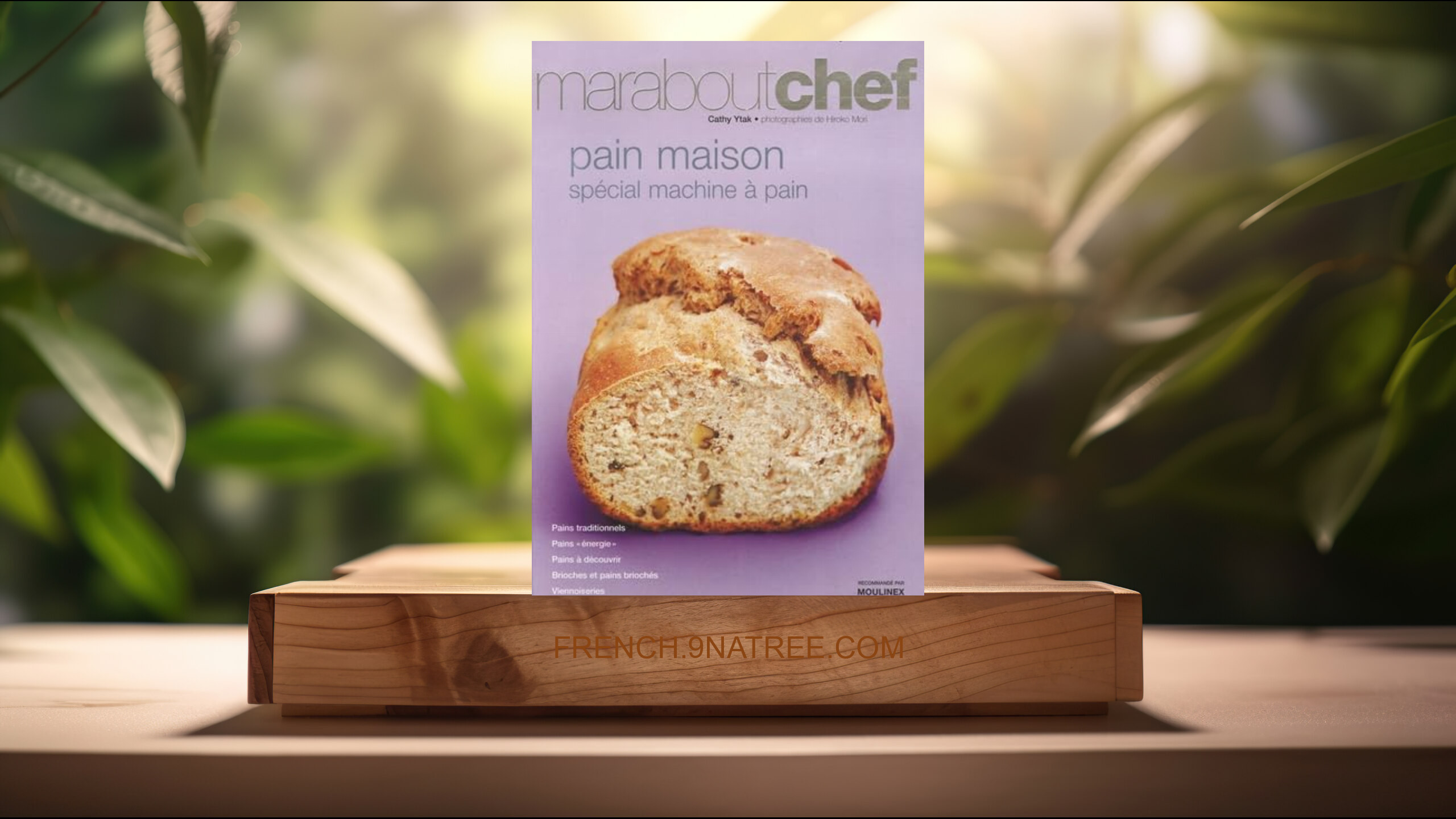[Critique] Pain maison: Spécial machine à pain (Cathy Ytak) Résumé.