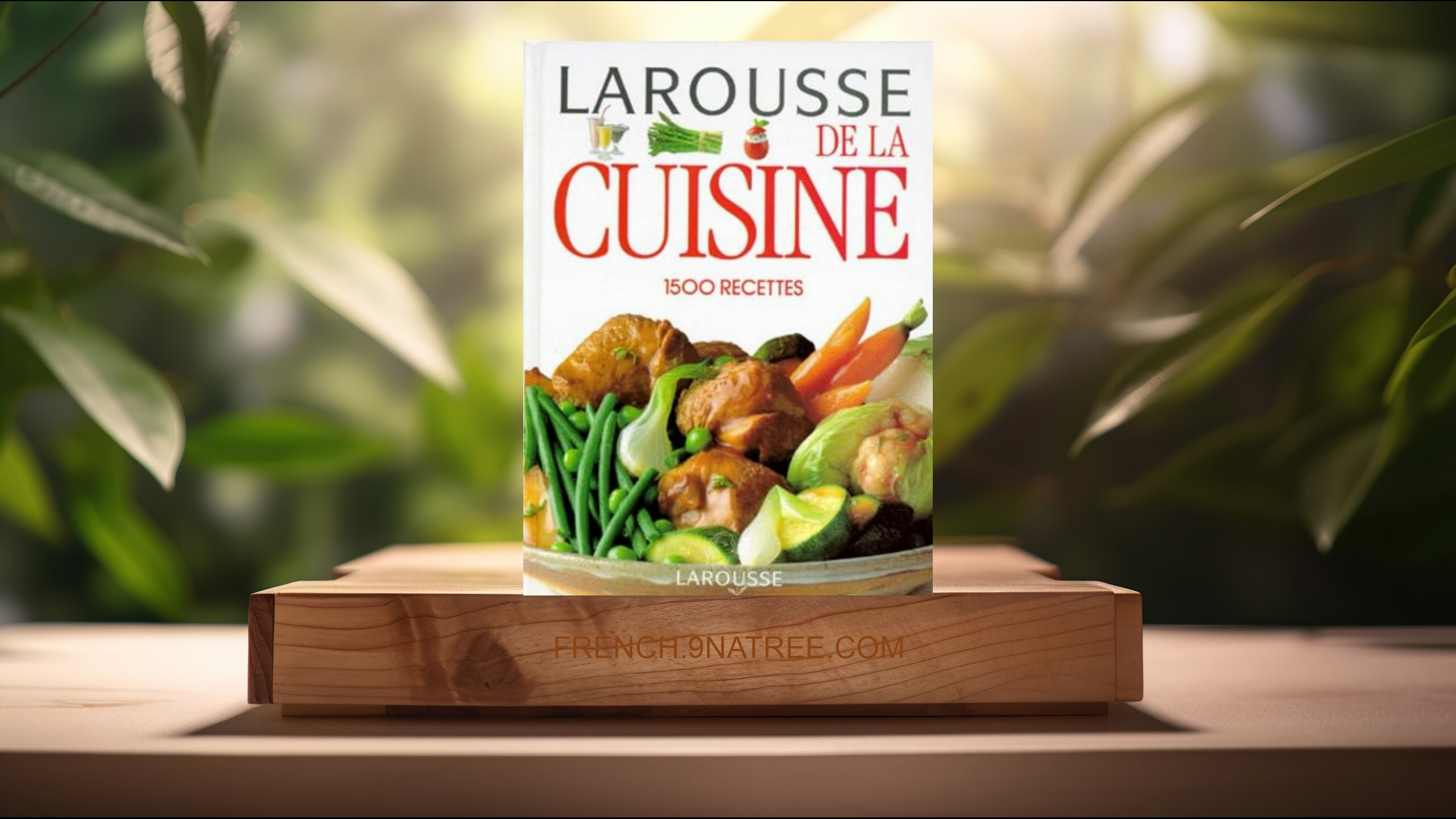 [Critique] Larousse de la Cuisine: 1500 Recettes (Collectif) Résumé.