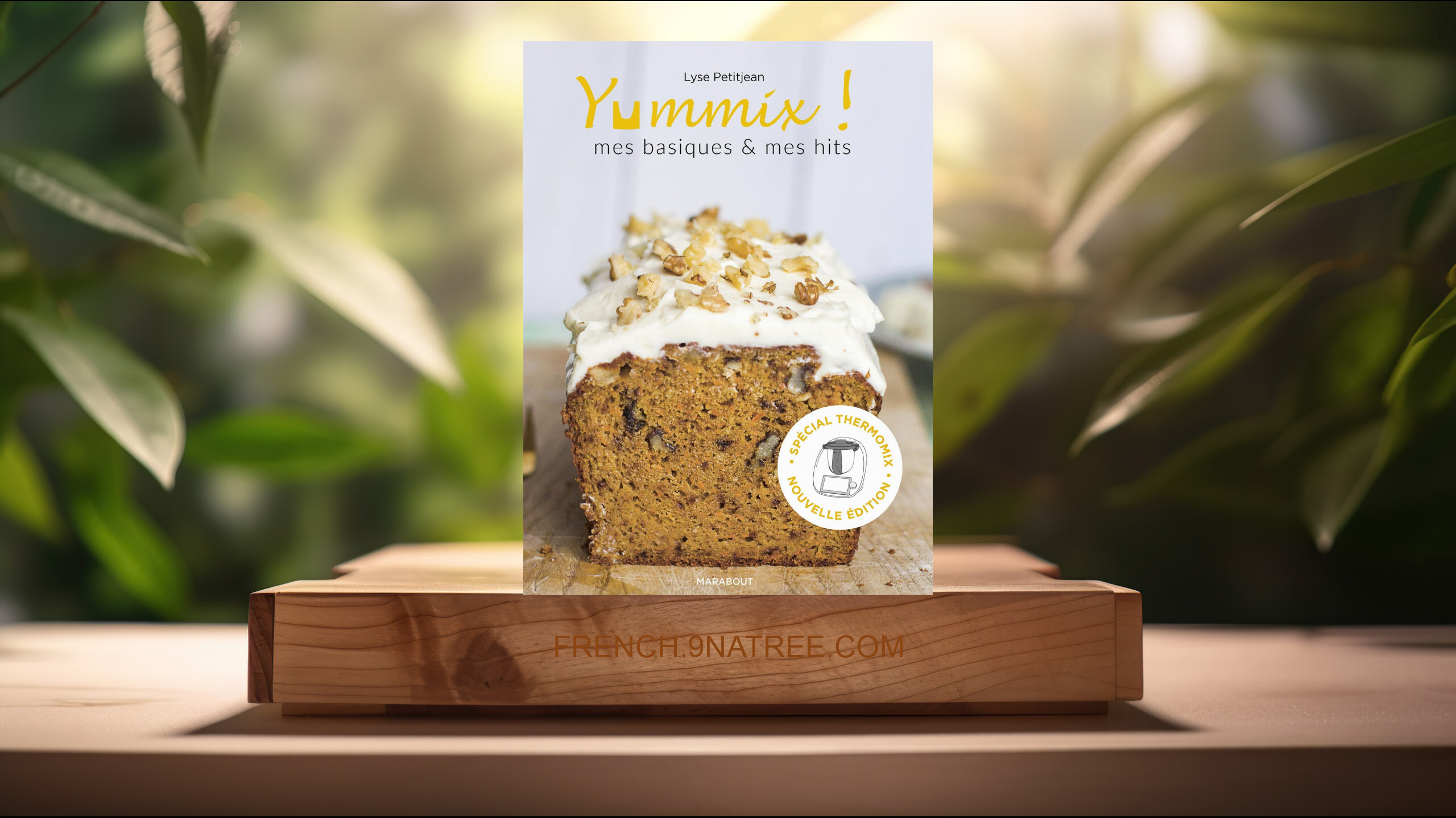 [Critique] Yummix : Mes basiques et mes hits - Spécial Thermomix (Lyse Petitjean) Résumé.