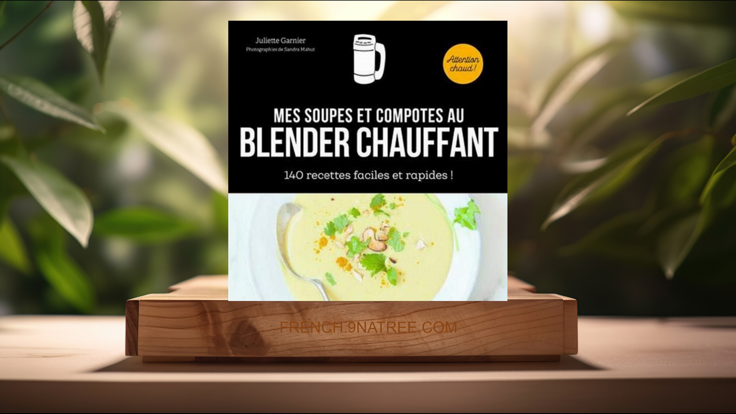 [Critique] Mes soupes et compotes au blender chauffant - 140 recettes faciles et rapides (Collectif) Résumé.