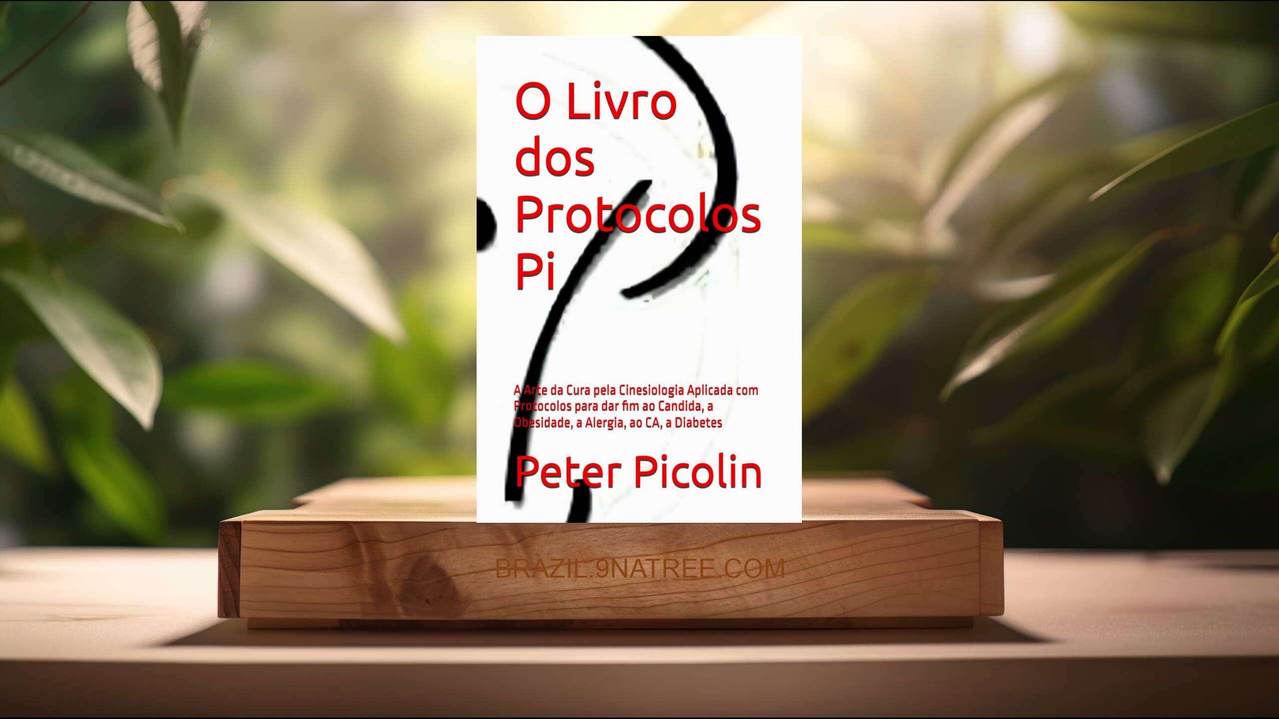 [Análises] O Livro dos Protocolos Pi (Prof Peter Picolin) Resumidos.