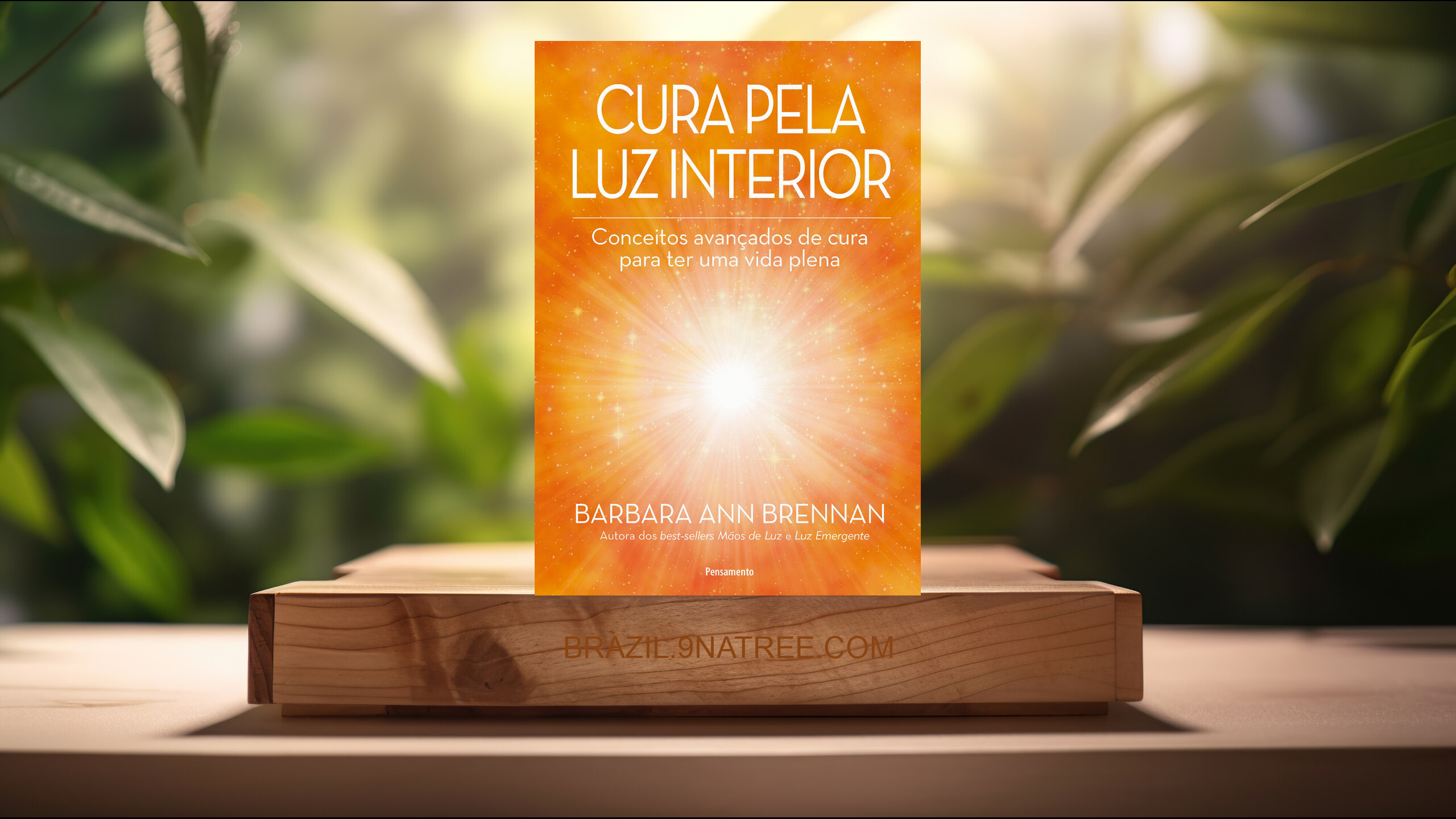 [Análises] Cura Pela Luz Interior (Barbara Ann Brennan) Resumidos.