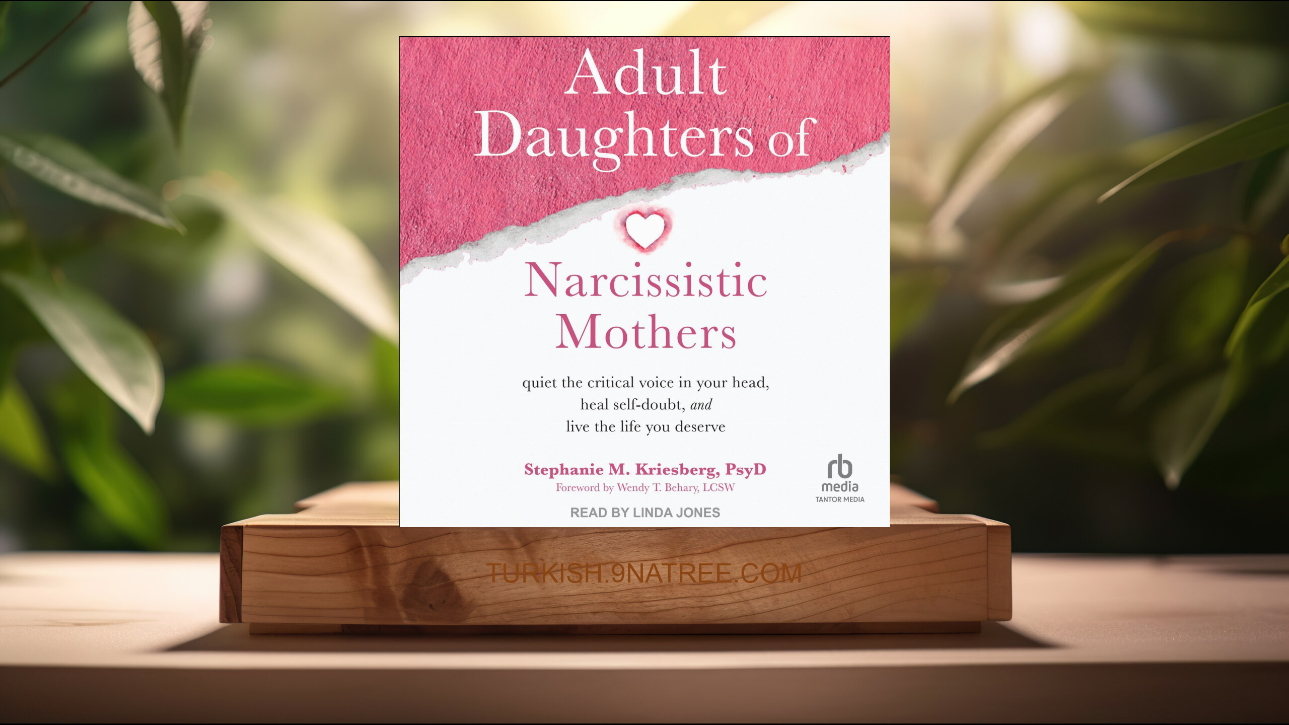 [İncelemesi] Adult Daughters of Narcissistic Mothers (Stephanie M. Kriesberg PsyD) Özeti. episode artwork