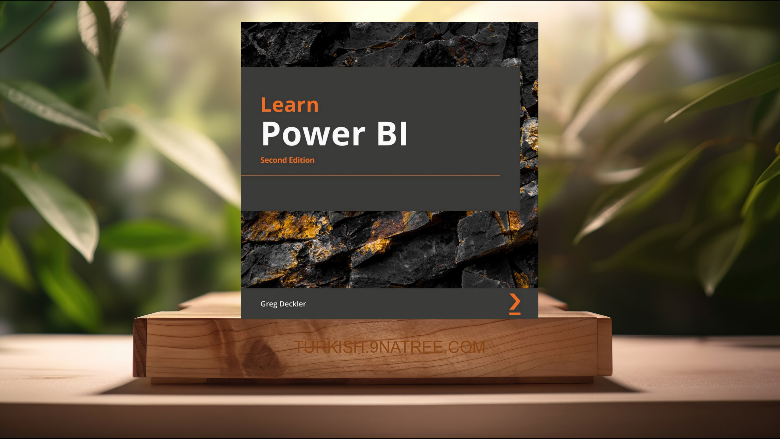 [İncelemesi] Learn Power BI (Greg Deckler) Özeti. episode artwork
