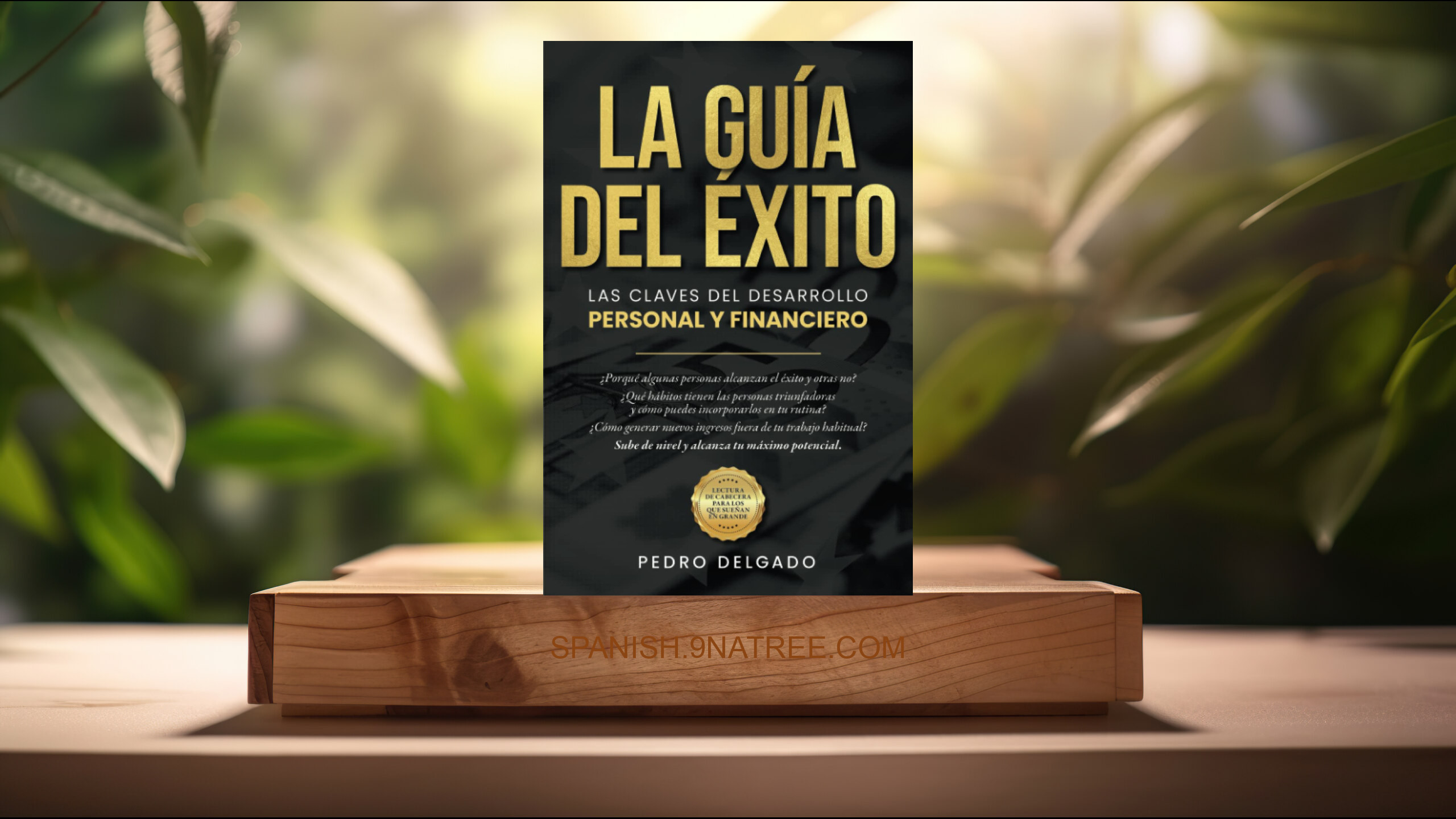 [Reseña] LA GUÍA DEL ÉXITO: Las claves del desarrollo personal y financiero (Pedro Angel Delgado Navarro) Resumida.