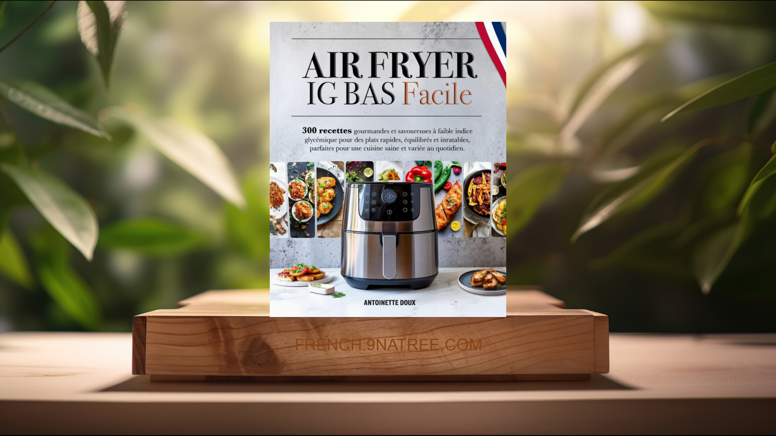 [Critique] AIR FRYER IG BAS FACILE (Antoinette Doux) Résumé.