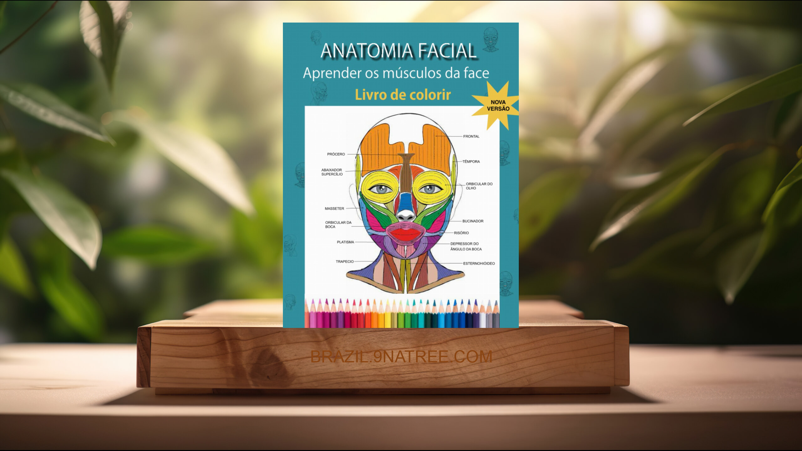 [Análises] ANATOMIA FACIAL: Aprender os músculos da face - Libro da Colorir  (Eva M.F) Resumidos.