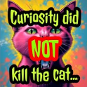 C - Curiosity: From Victim to Explorer. 