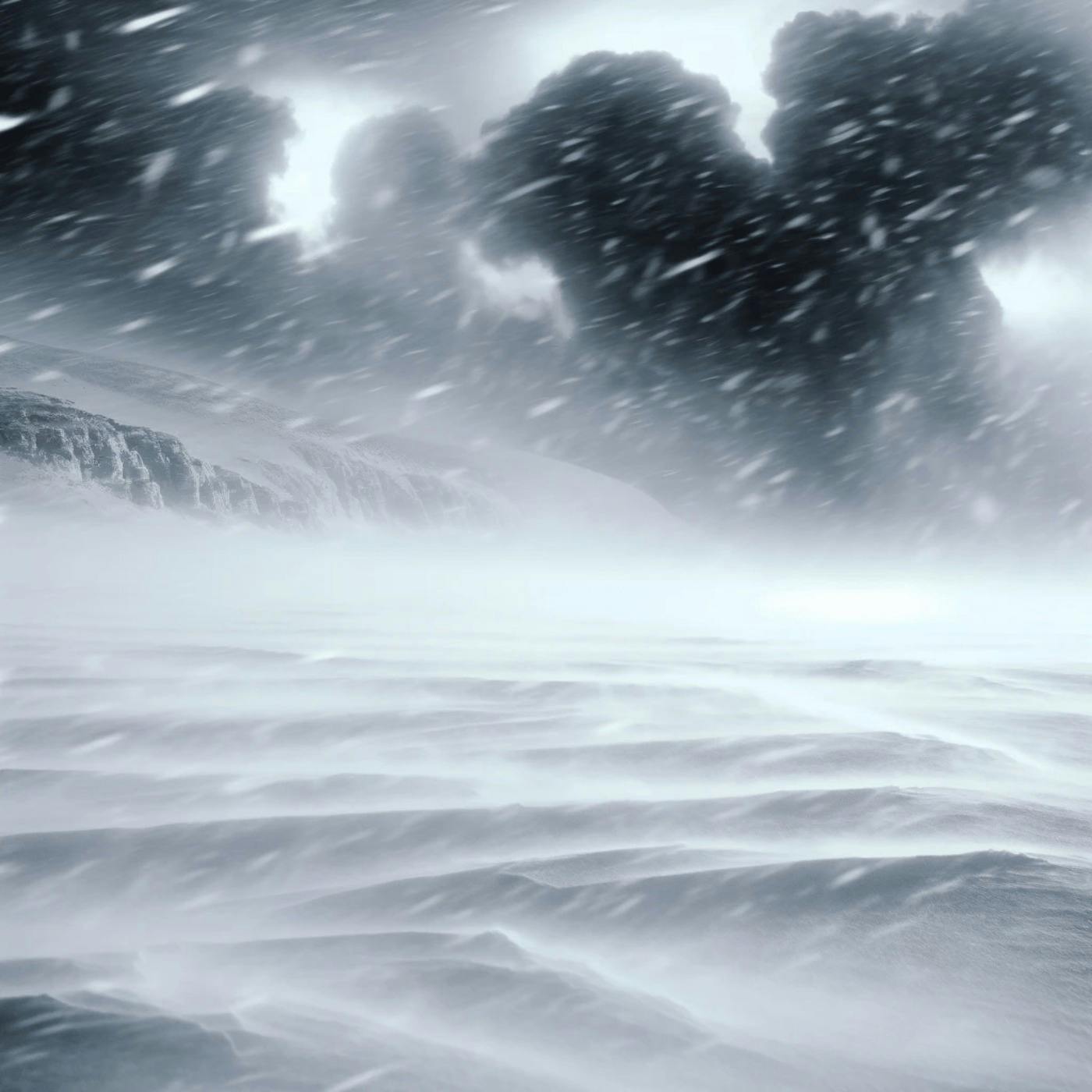 ️ Eisige Heulen: Die Rohe Kraft des Windes in einem Blizzard