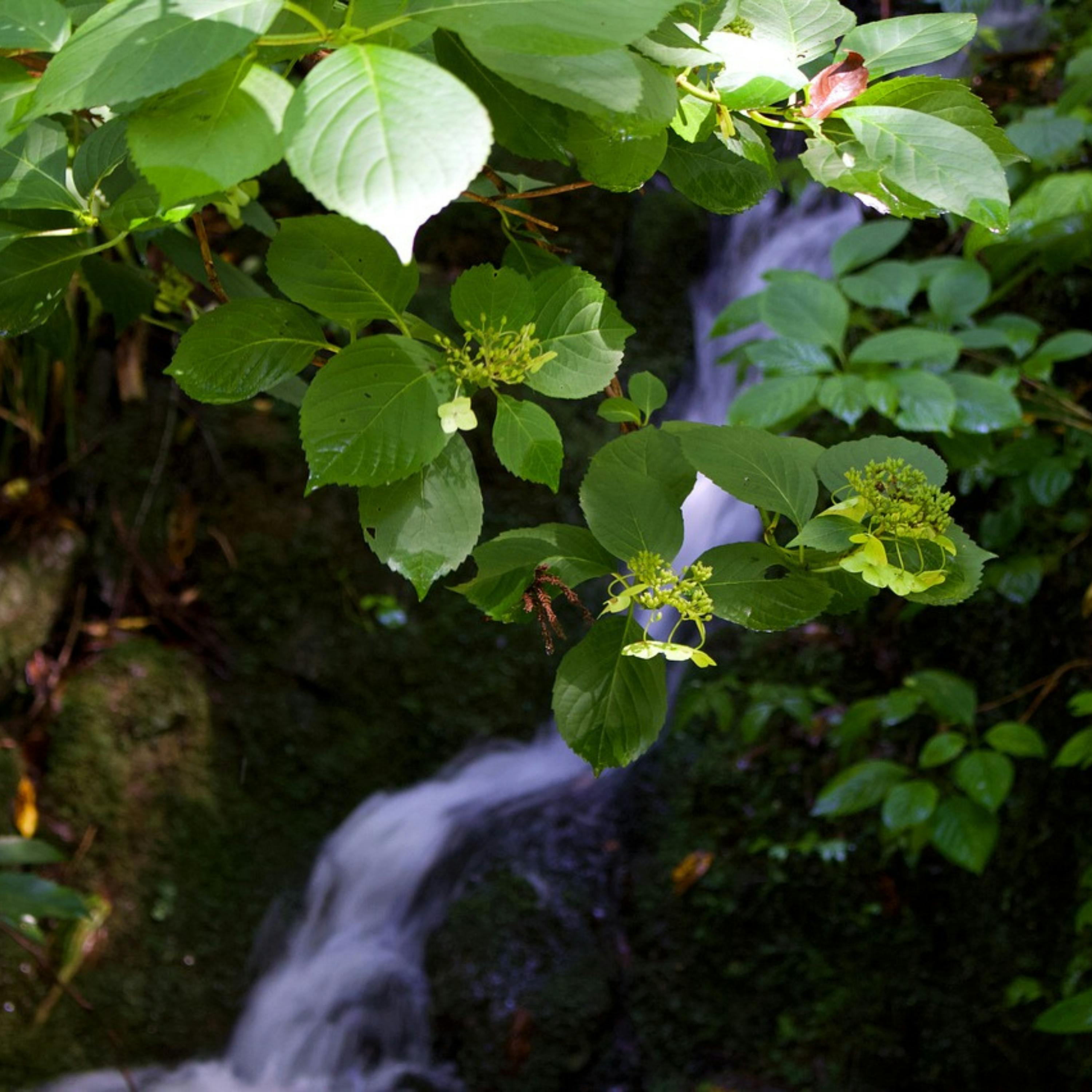  Finde einen tiefen SCHLAF mit dem Klang eines WASSERFALLS und Beruhigender MUSIK