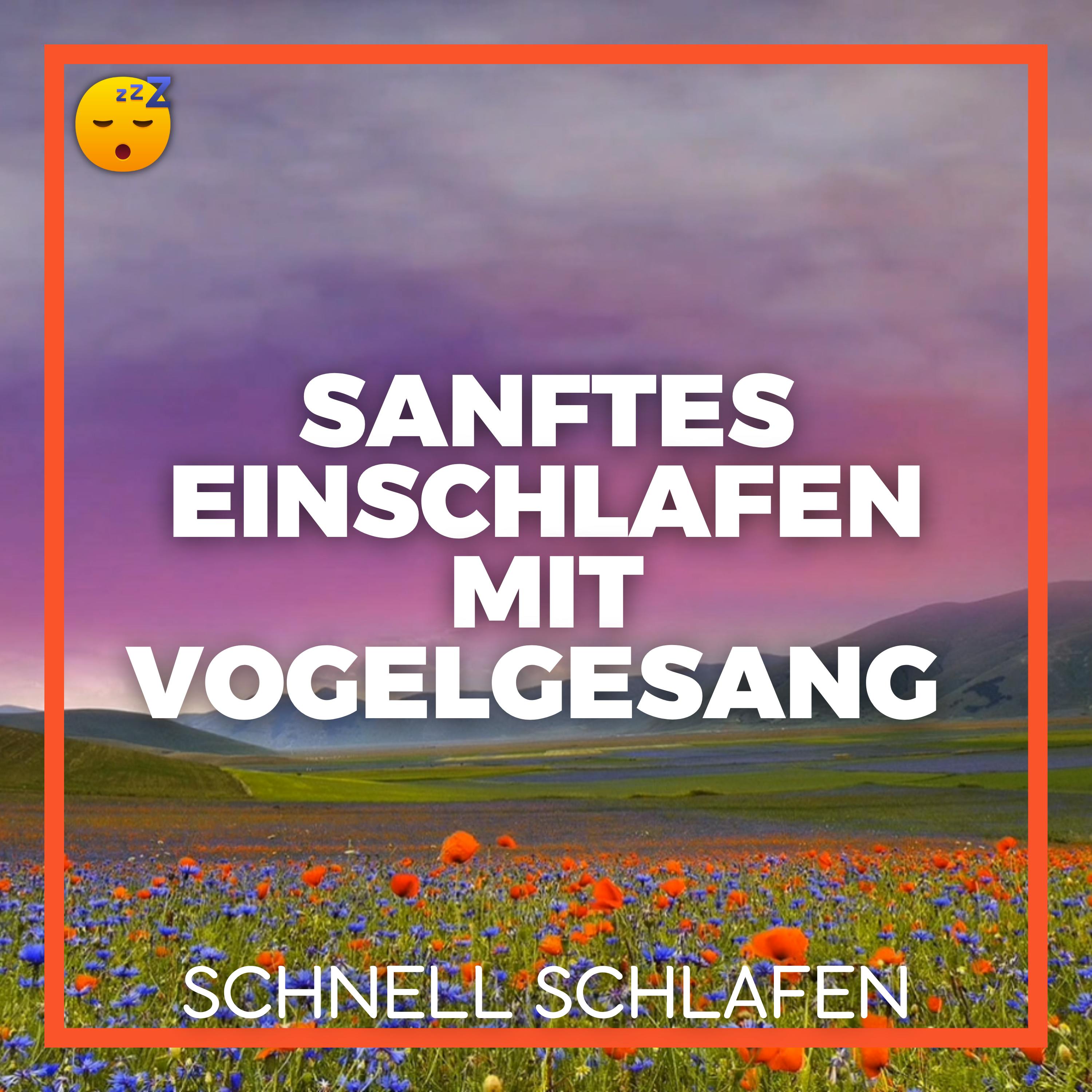  Sanftes EINSCHLAFEN mit VOGELGESANG und Entspannender MUSIK