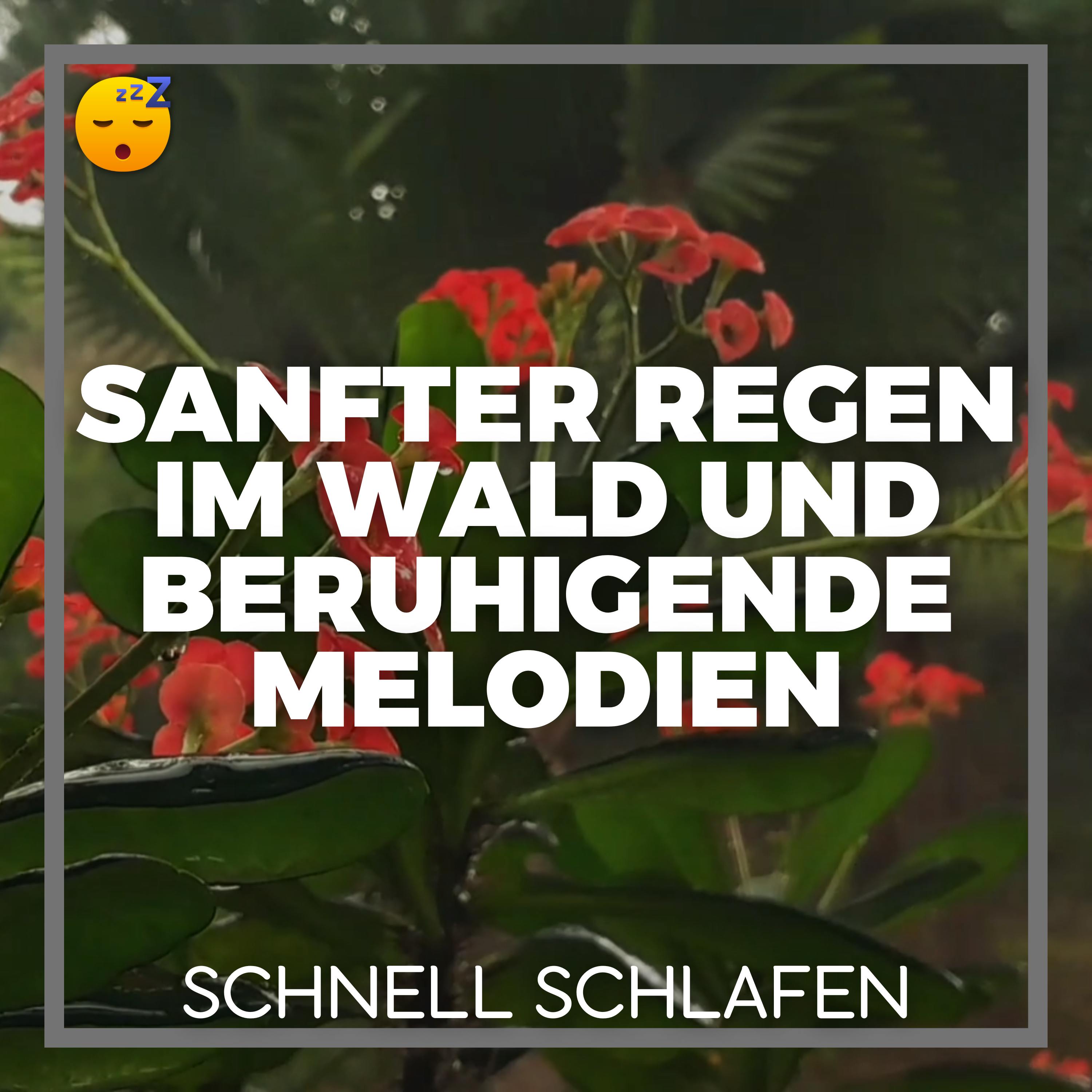 ️ Sanfter REGEN im Wald und Beruhigende MELODIEN für erholsamen SCHLAF