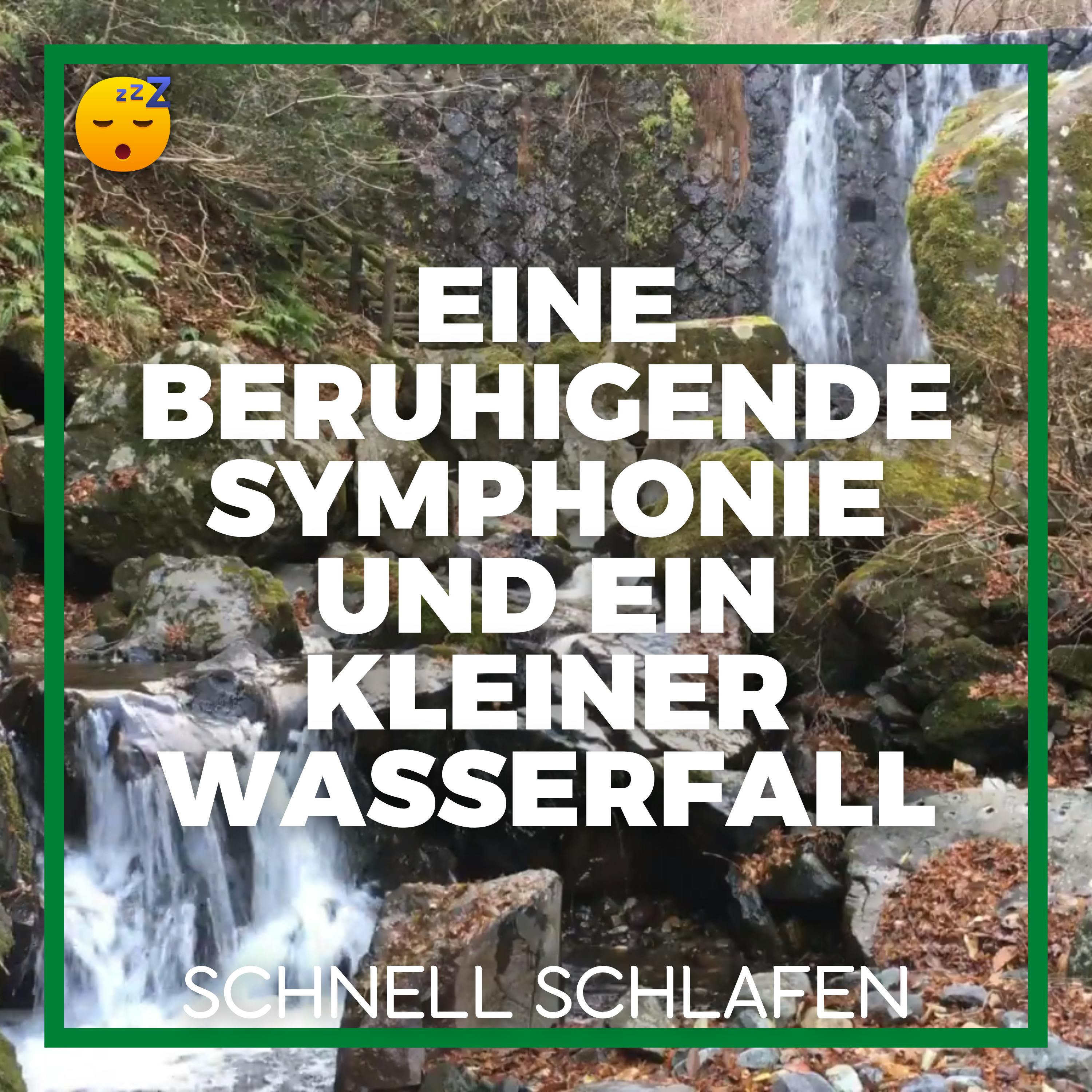  Eine Beruhigende SYMPHONIE und ein Kleiner WASSERFALL für eine Gute NACHT Ruhe