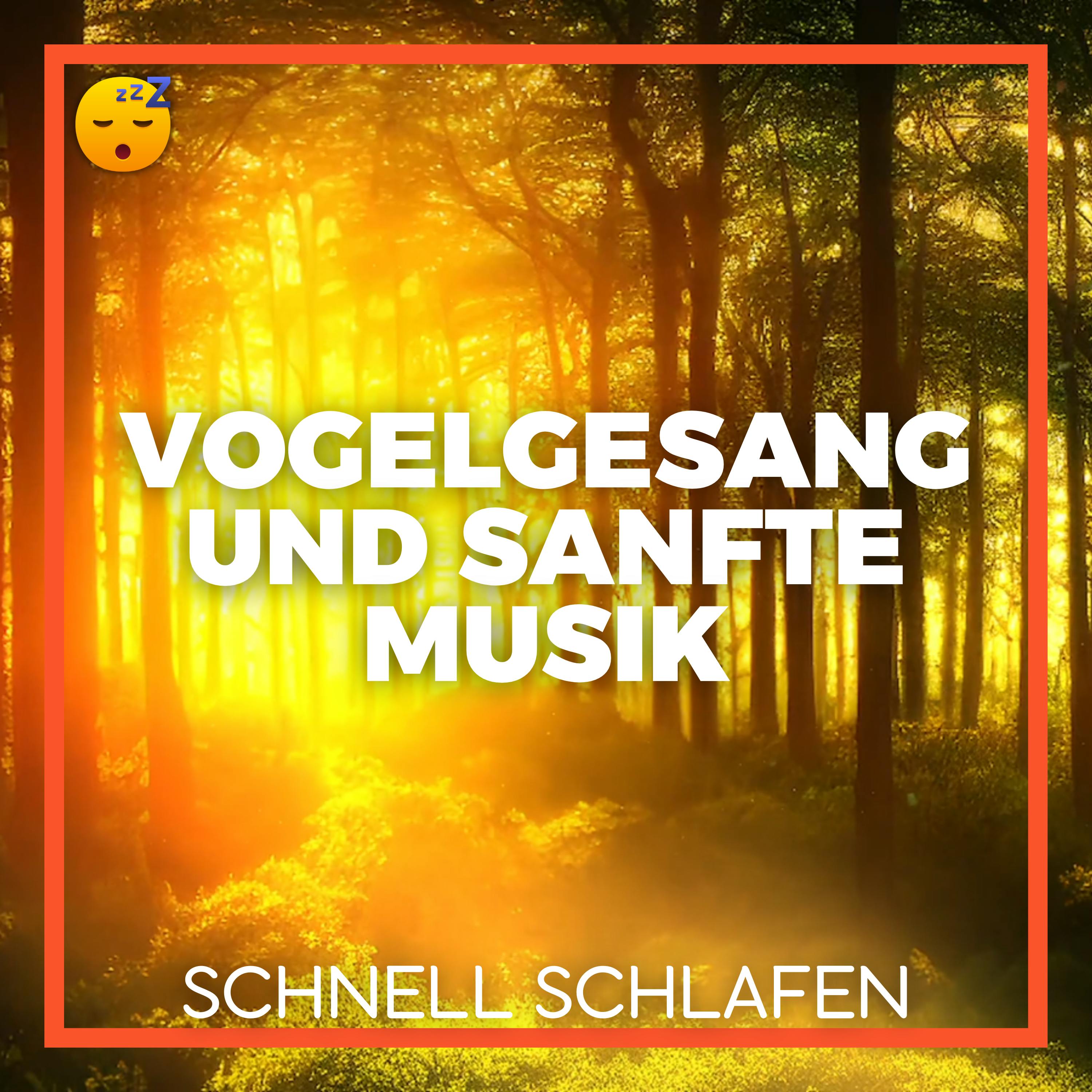  VOGELGESANG und sanfte MUSIK für eine STRESSFREIE Nacht