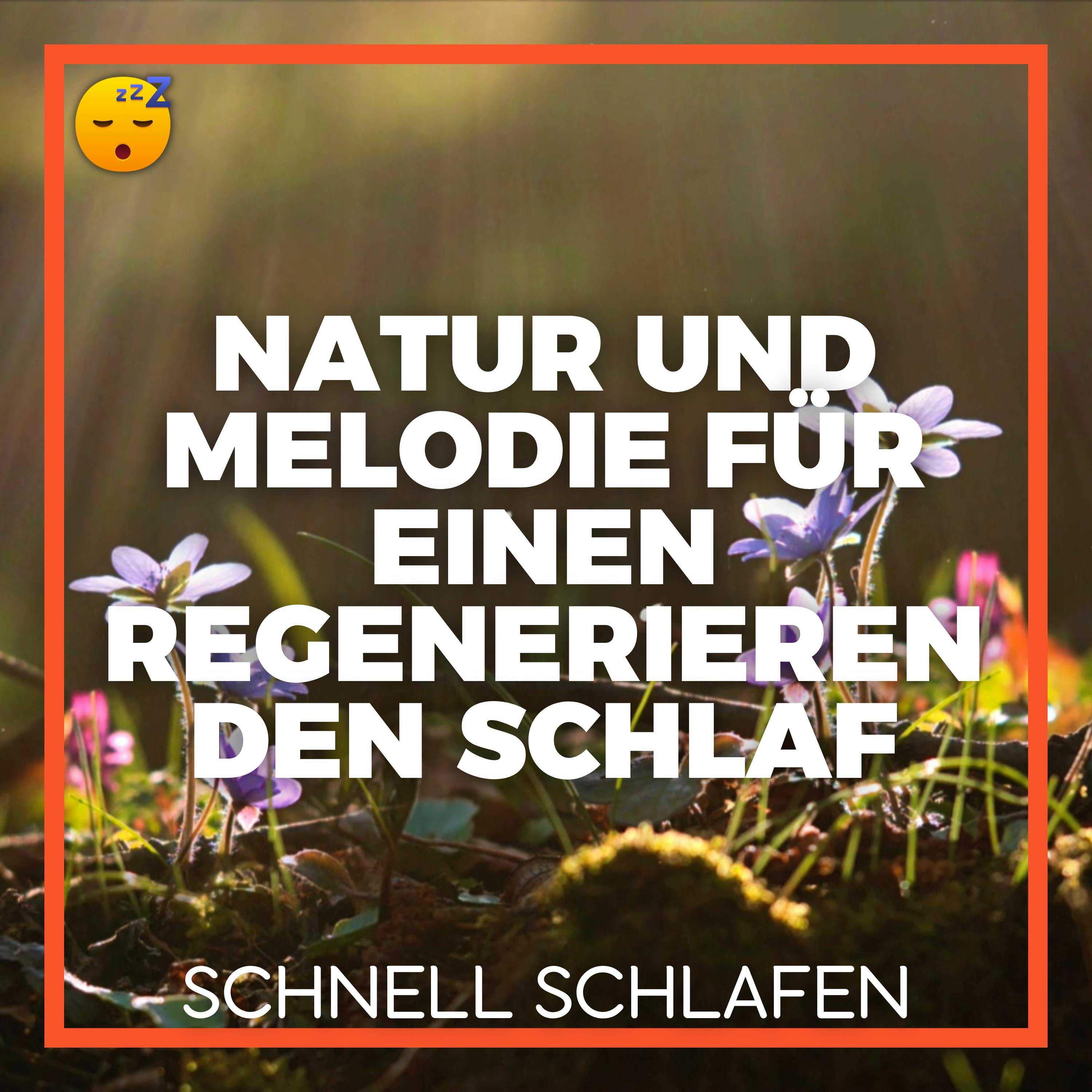  Lassen Sie sich von der NATUR und einer Einhüllenden MELODIE für einen Regenerierenden SCHLAF Transportieren