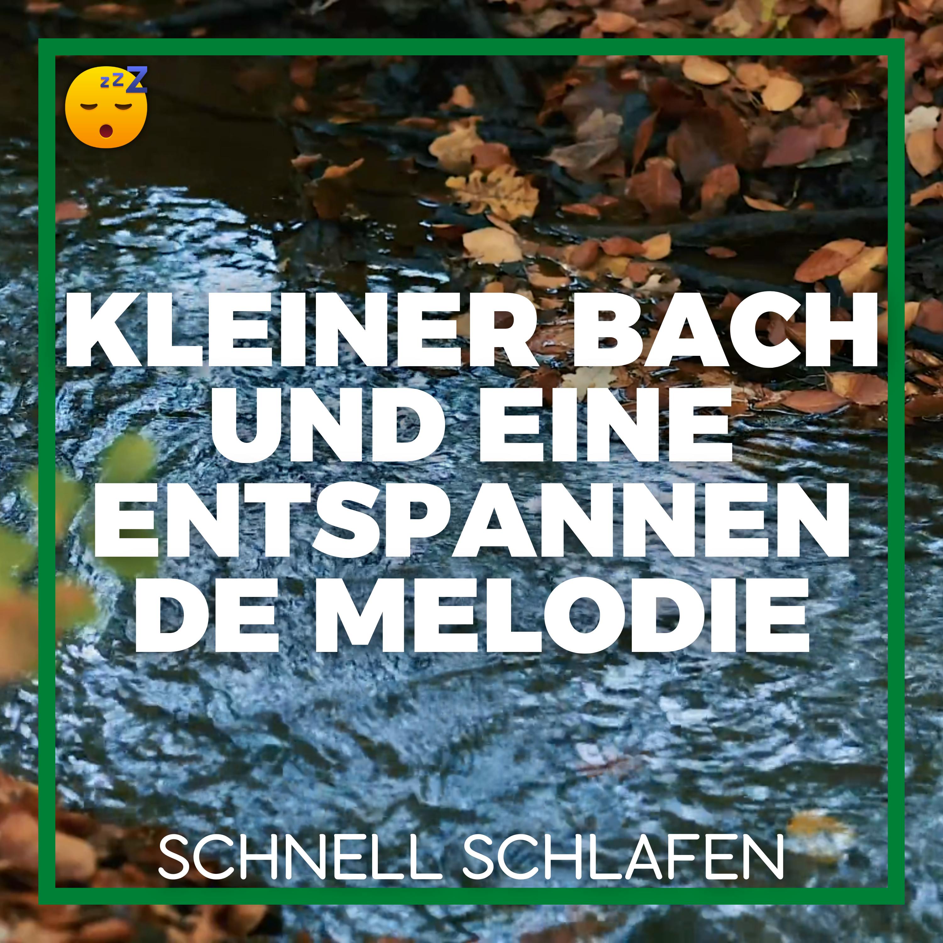 Ein Kleines BACH und eine Entspannende MELODIE für Ruhigen SCHLAF