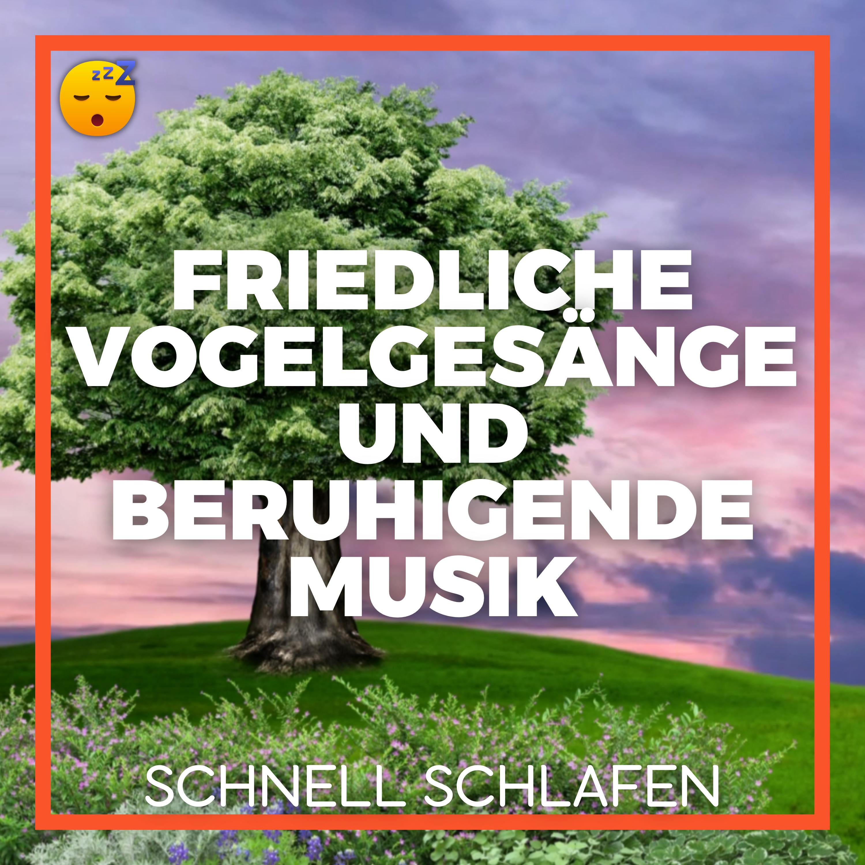 Beruhigende VOGELGESÄNGE und sanfte MUSIK für einen erholsamen SCHLAF