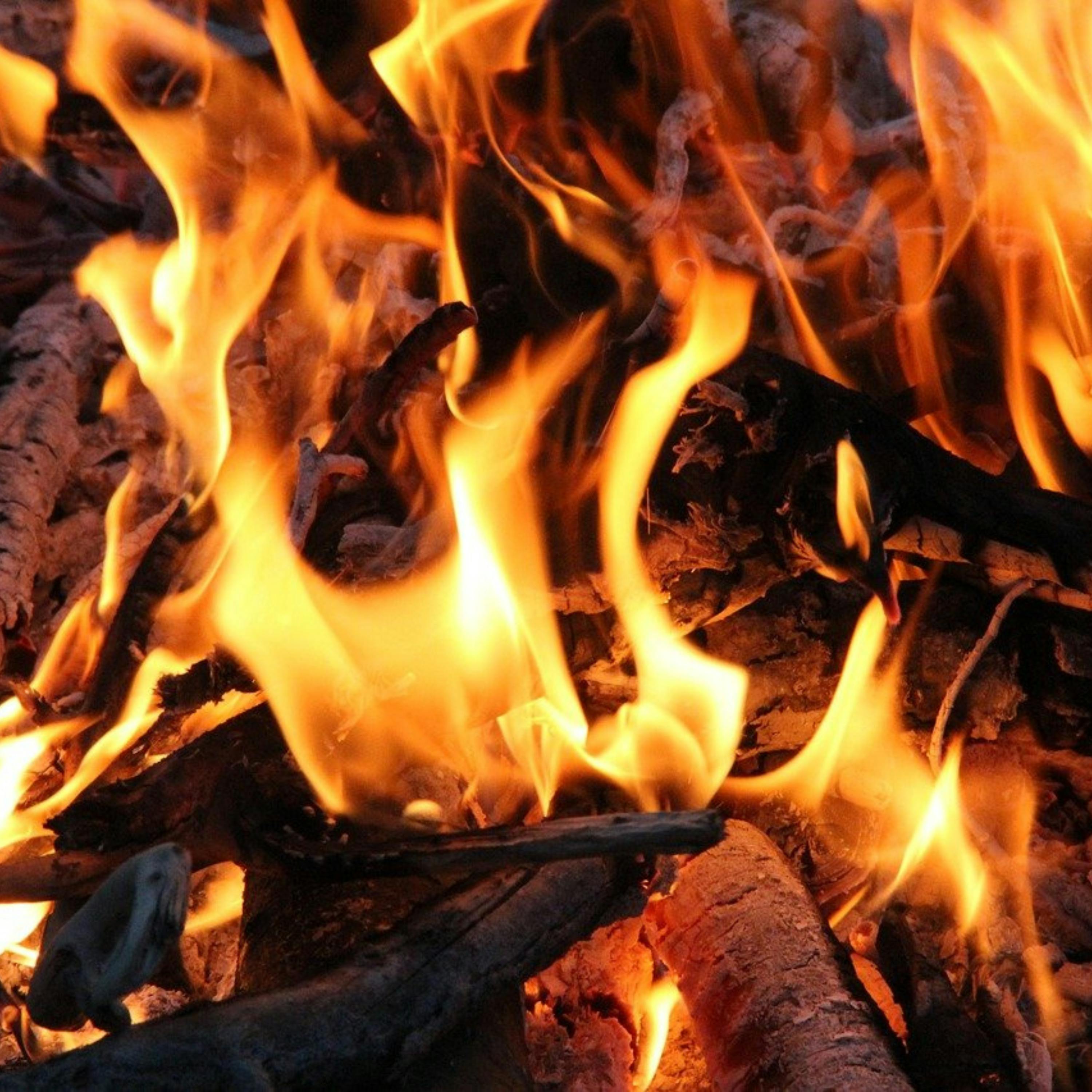 Episode Cover
