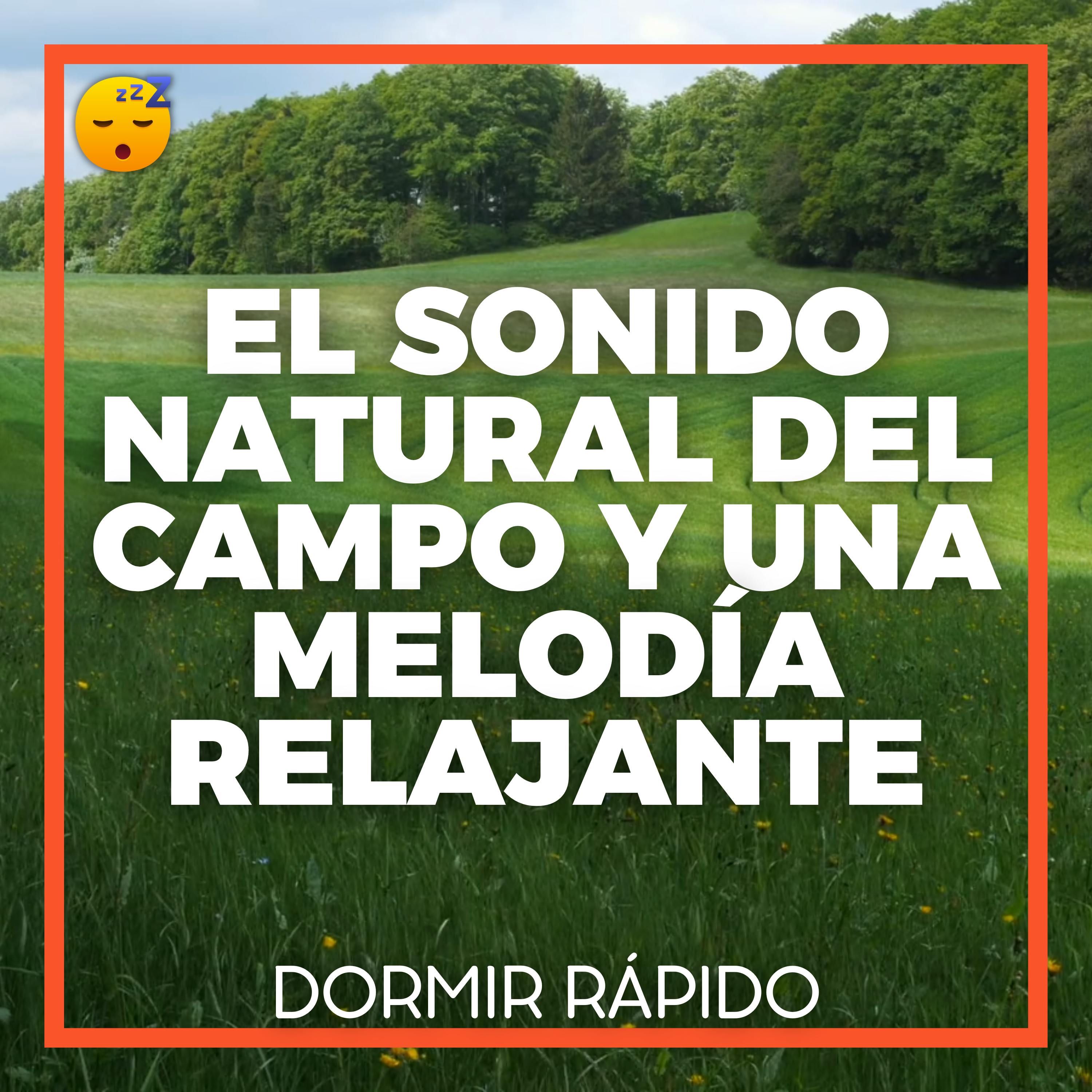  El Sonido Natural del CAMPO y una MELODÍA Relajante para DORMIR en Paz