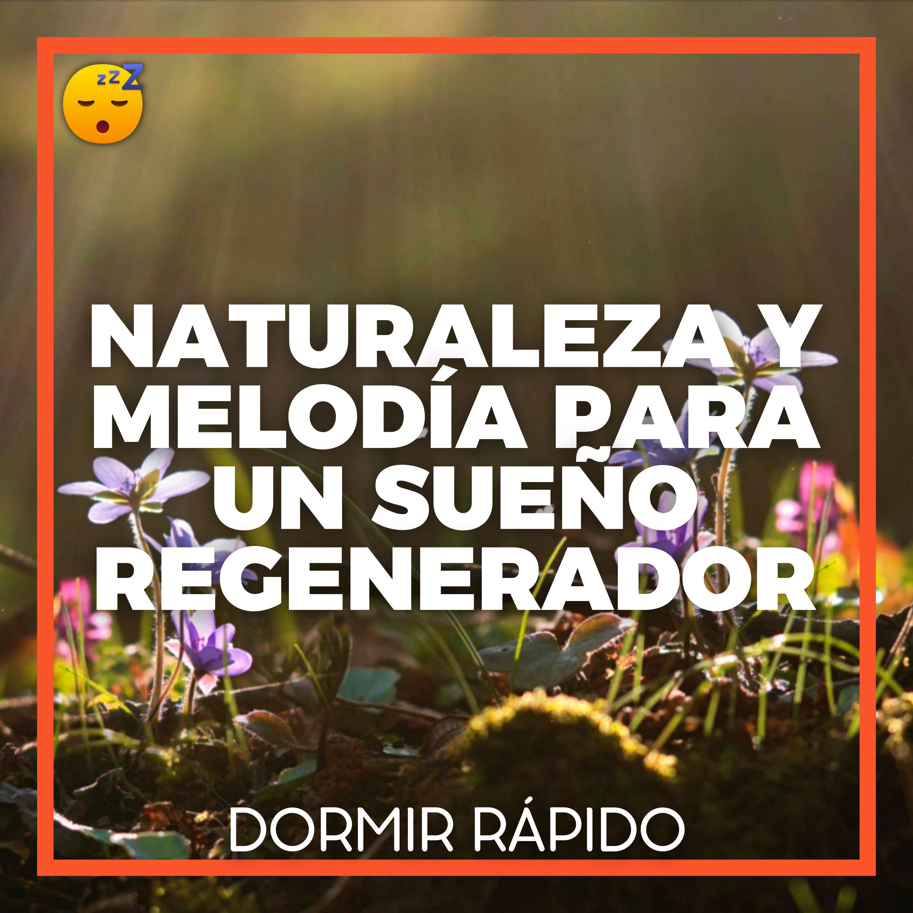  Déjese Transportar por la NATURALEZA y una MELODÍA Envolvente para un SUEÑO Regenerador