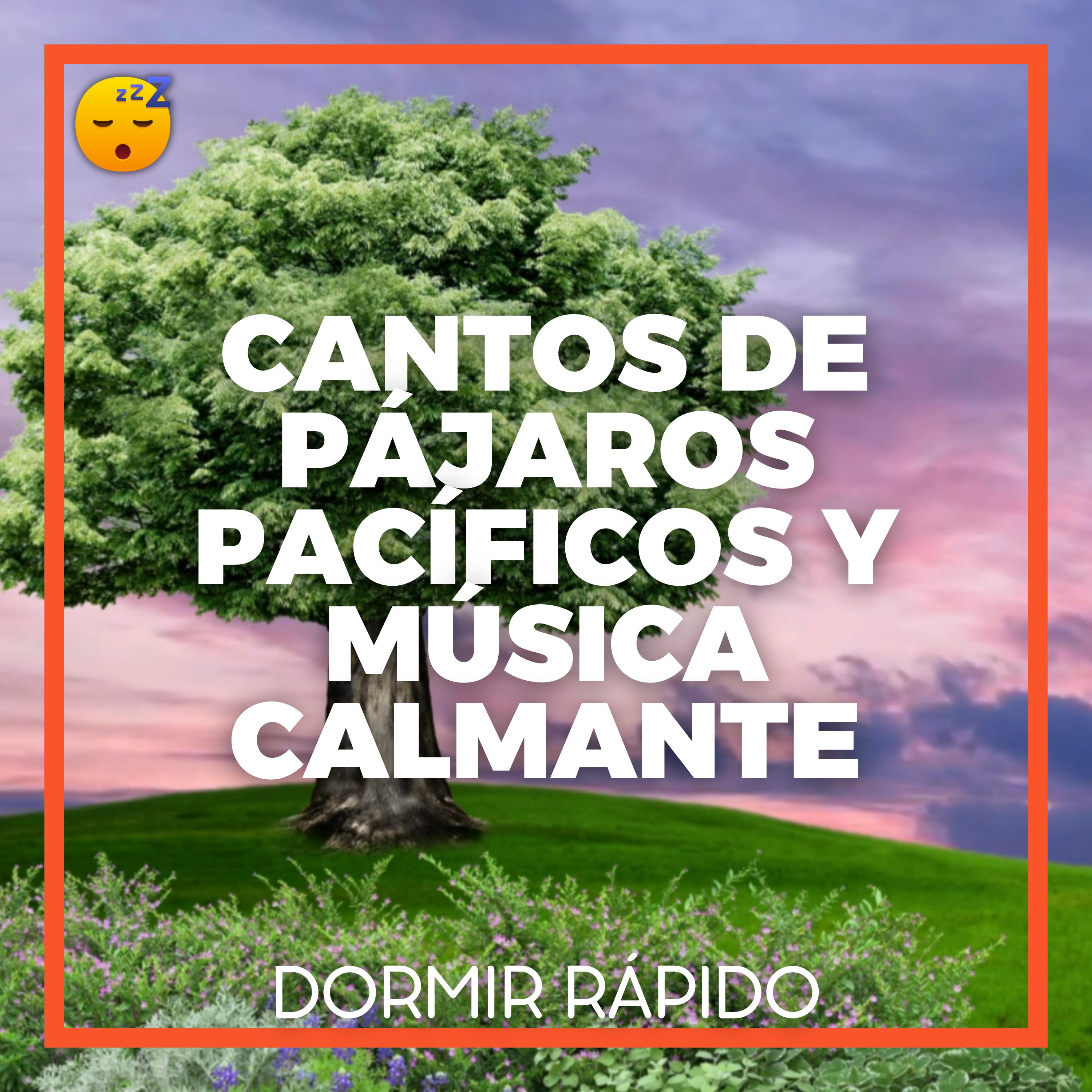 CANTOS DE PÁJAROS Pacíficos y MÚSICA Calmante para un Reparador SUEÑO