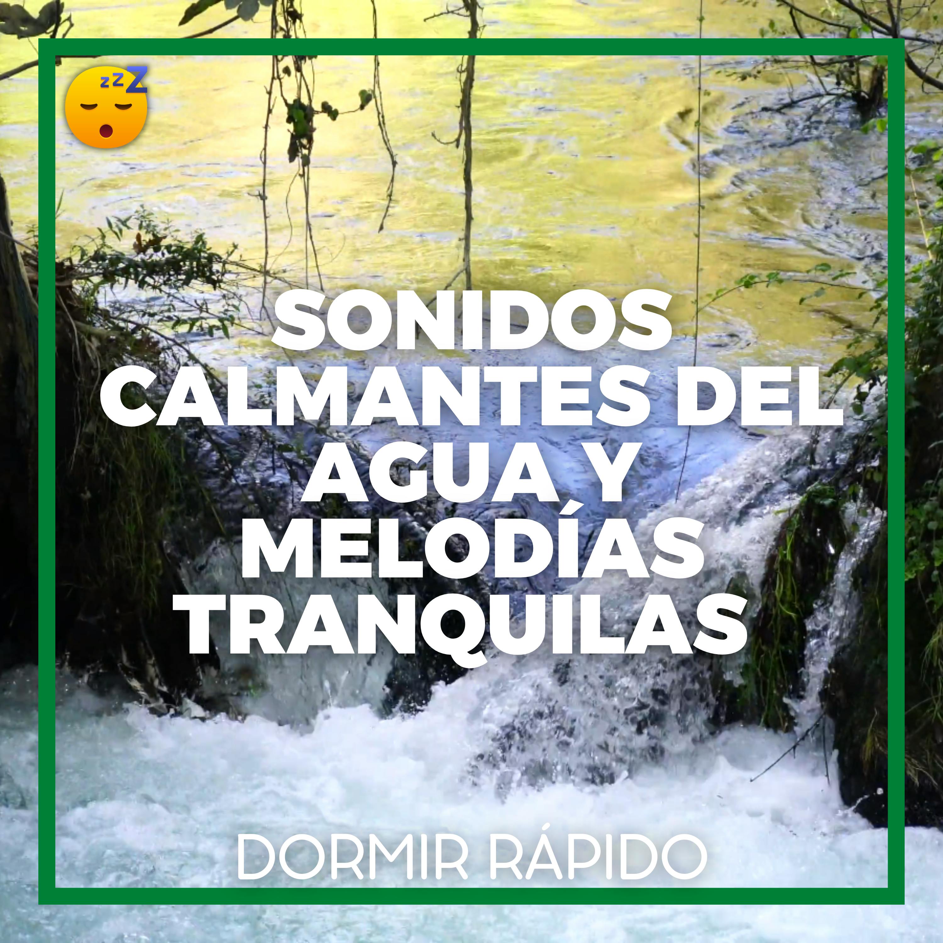 Sonidos Calmantes del AGUA y MELODÍAS Tranquilas para DORMIR SUAVEMENTE