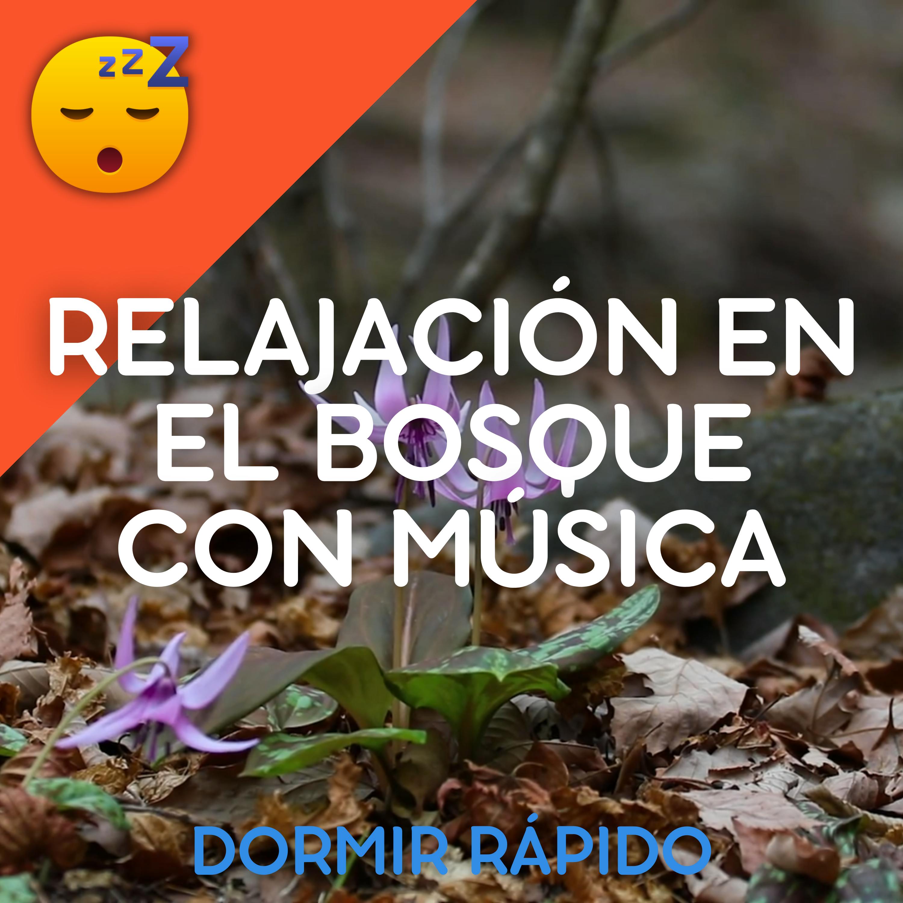 Relajación en el BOSQUE con MÚSICA Suave para un SUEÑO Profundo