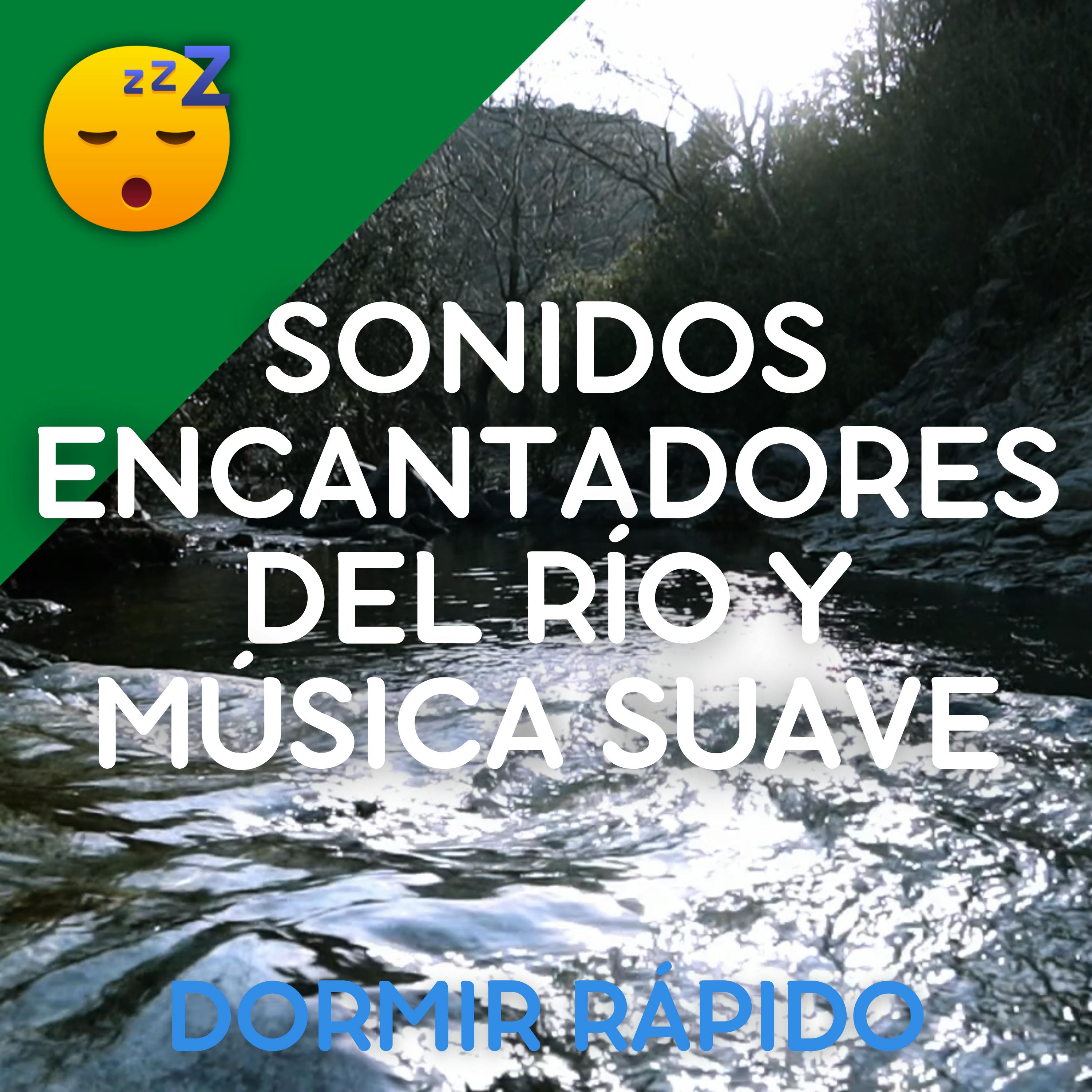 Disfruta de una NOCHE Pacífica con los Sonidos Encantadores del RÍO y MÚSICA Suave