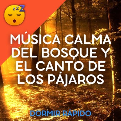 DUERMA FÁCILMENTE con la MÚSICA Calma del BOSQUE y el CANTO DE LOS PÁJAROS