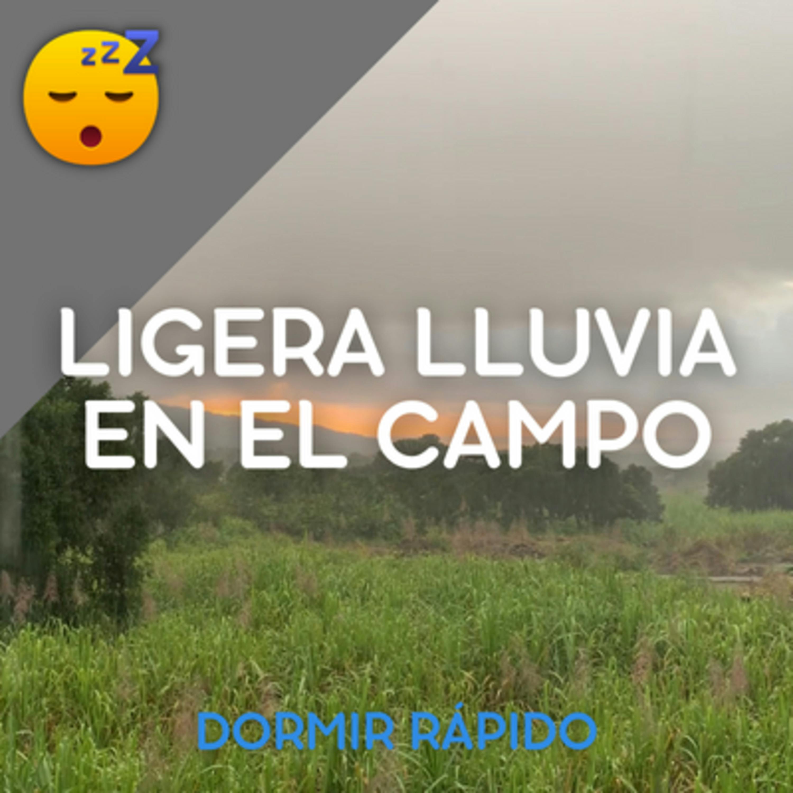 ️ MÚSICA con una LIGERA LLUVIA en el Campo