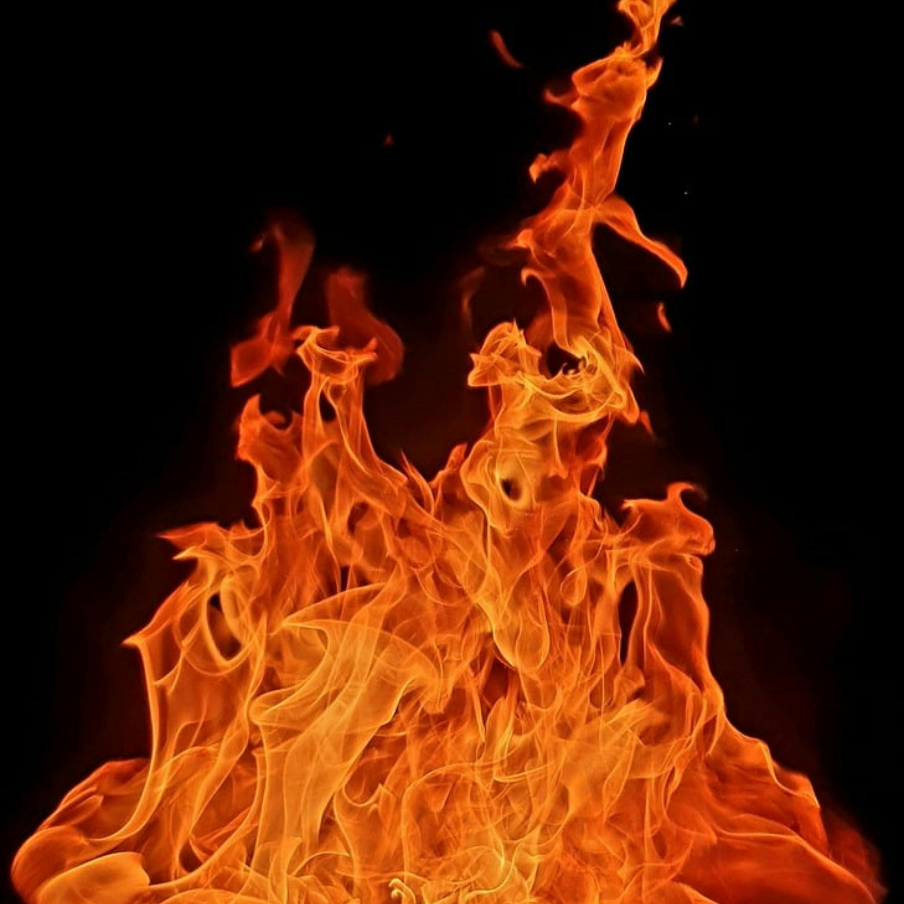 Episode Cover